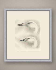 Heads of the Wild Swans, Antique Bird Print after Lilian Medland, circa 1909