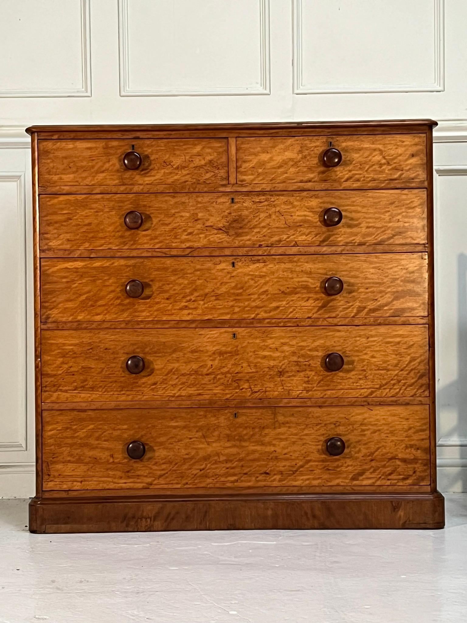 British Heal and Son’s Chest of Drawers For Sale