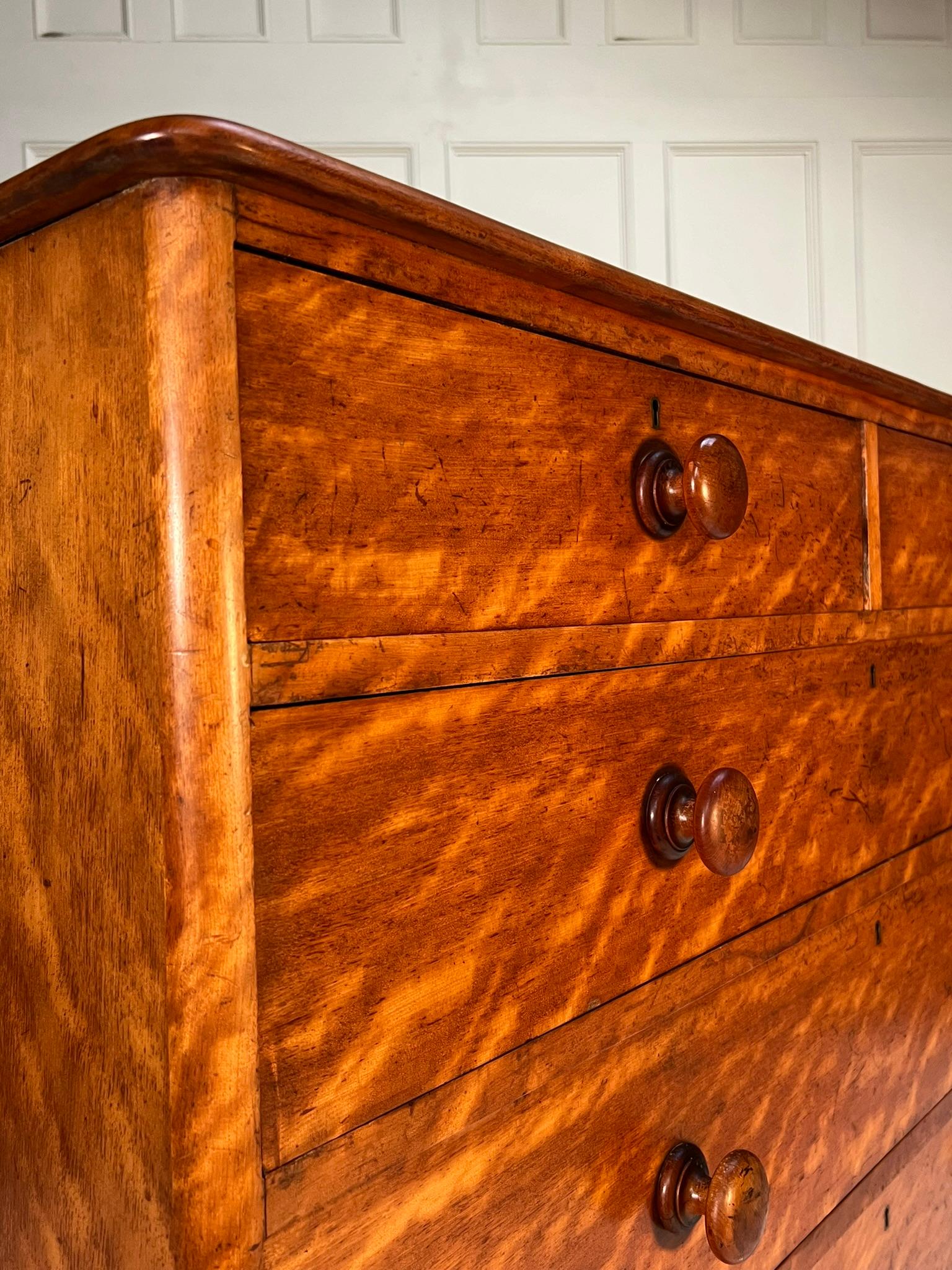 19th Century Heal and Son’s Chest of Drawers For Sale