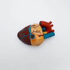 Heart Anatomical Model Life Size