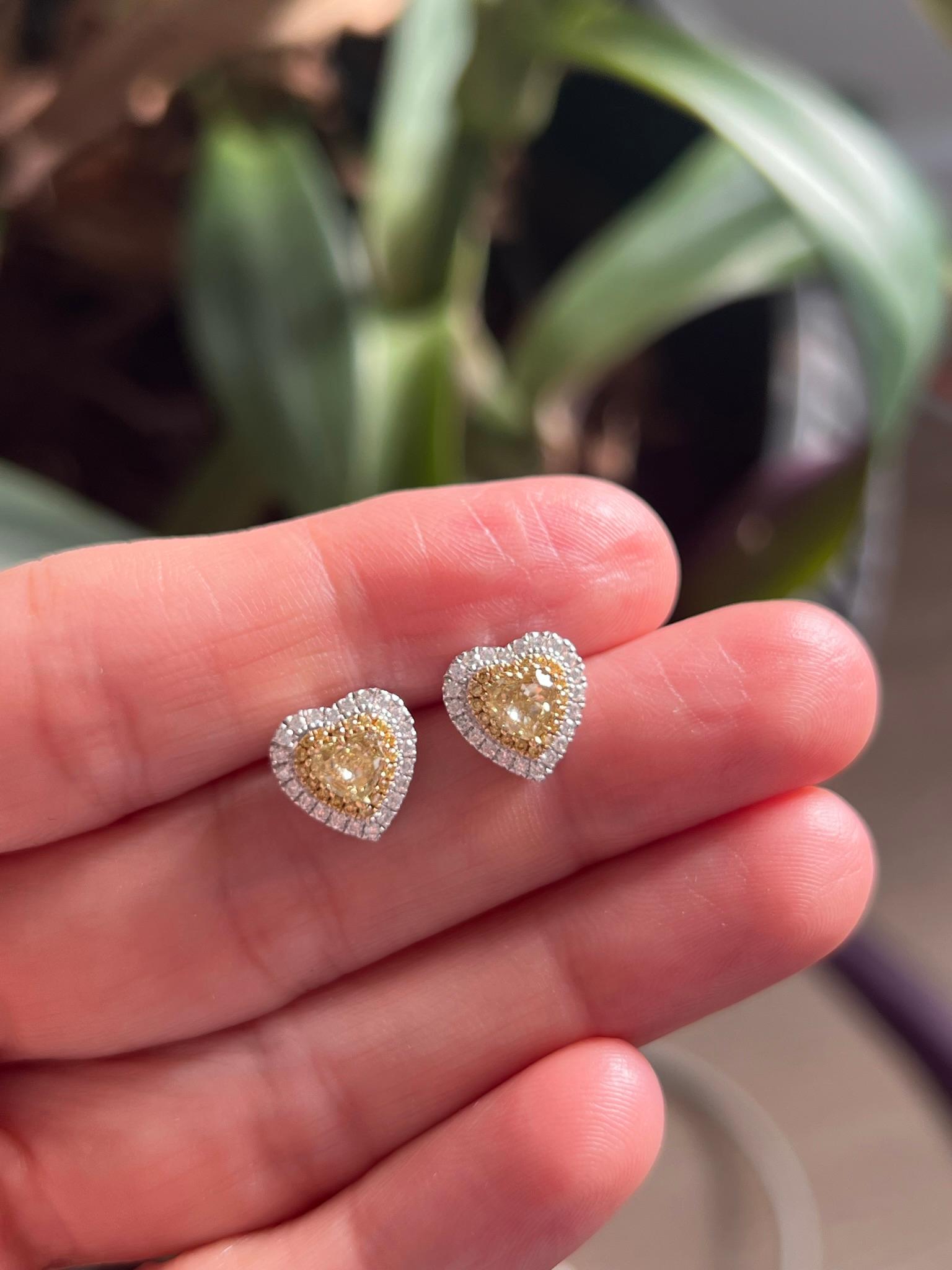 18K white and yellow gold fancy yellow diamond earrings with a double diamond halo.

Features
18K white and yellow gold
1.25 carat total weight fancy yellow heart shape diamonds
.40 carat combined total weight for the smaller white and yellow