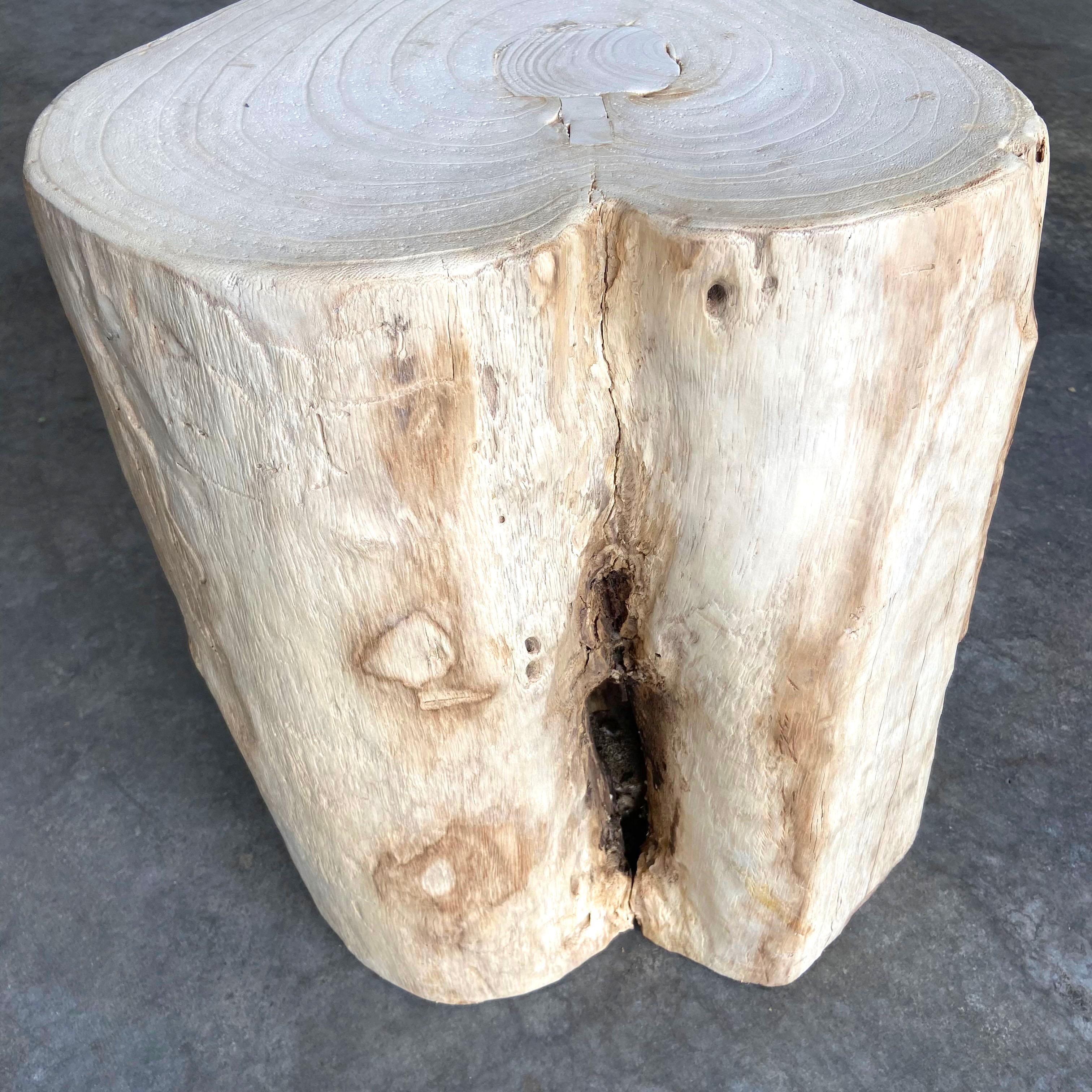 Heart Shaped Birch Wood Stump Side Table 1