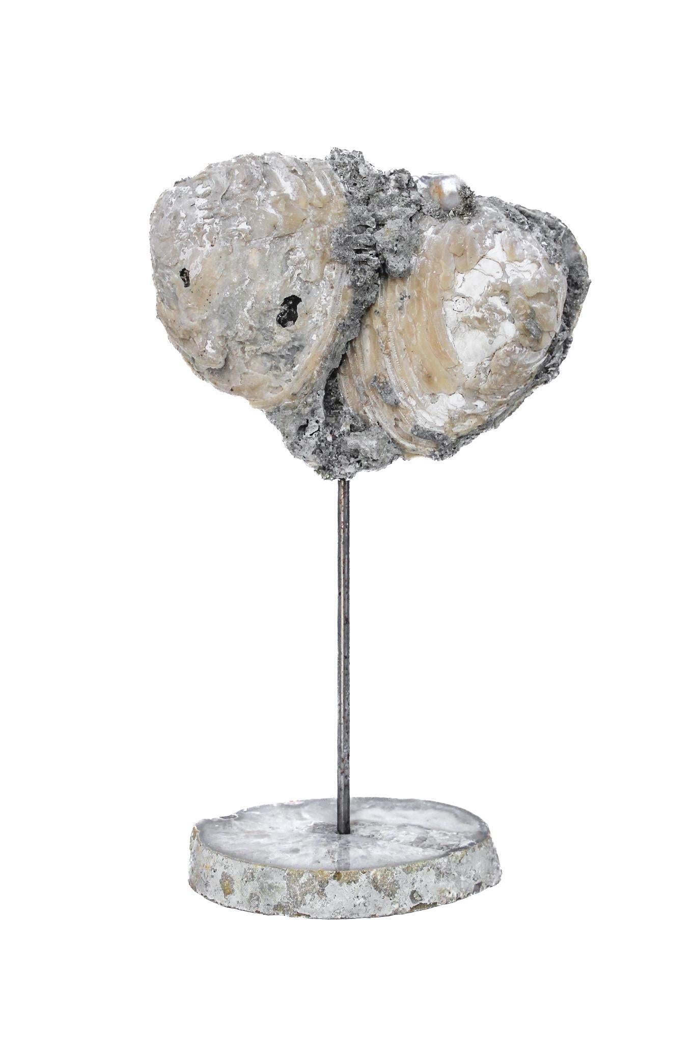 Contemporary Heart-Shaped Fossil Clamshell with Baroque Pearls on a Polished Agate Base