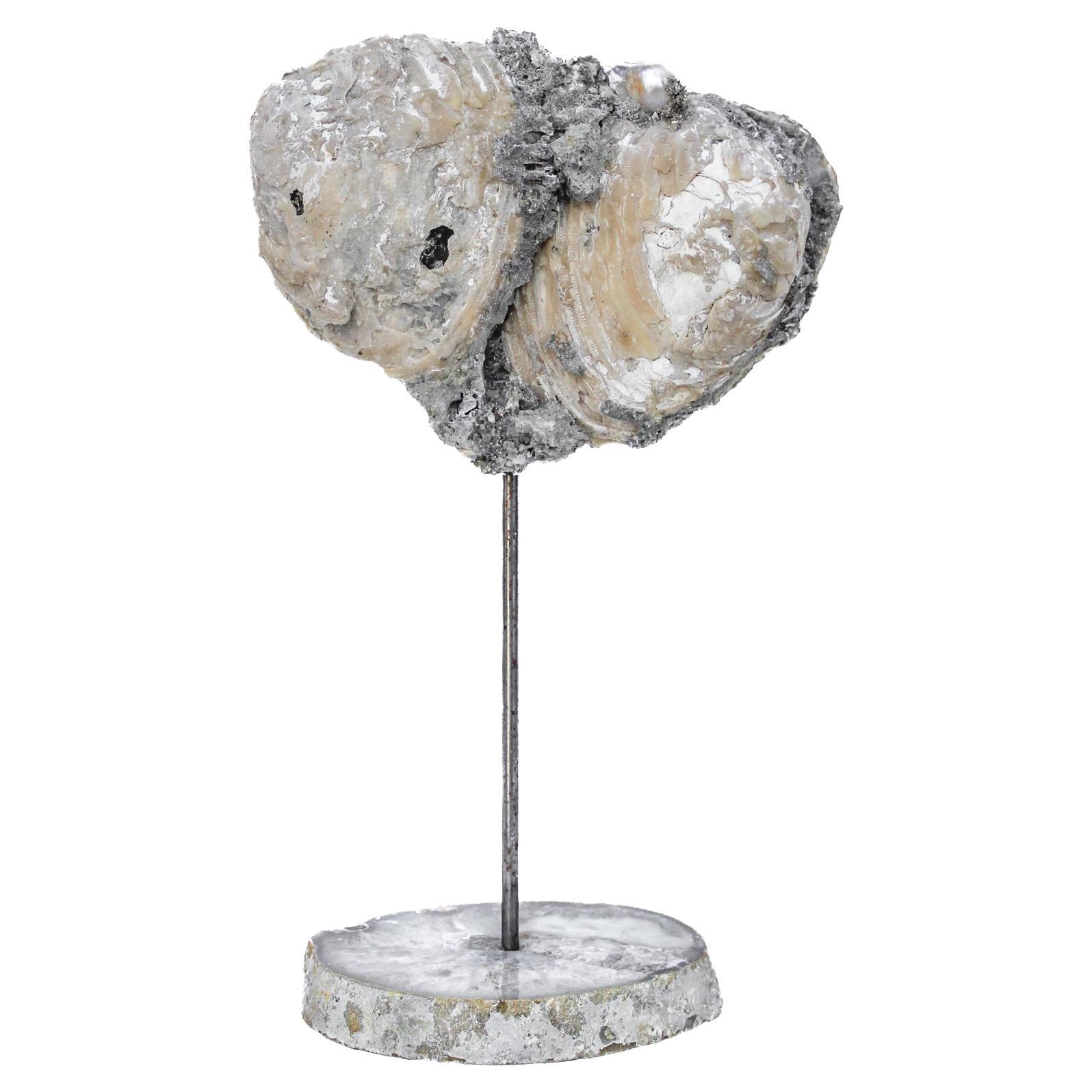 Heart-Shaped Fossil Clamshell with Baroque Pearls on a Polished Agate Base