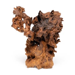 "Heartwood Grotto" Burl Wood Sculpture