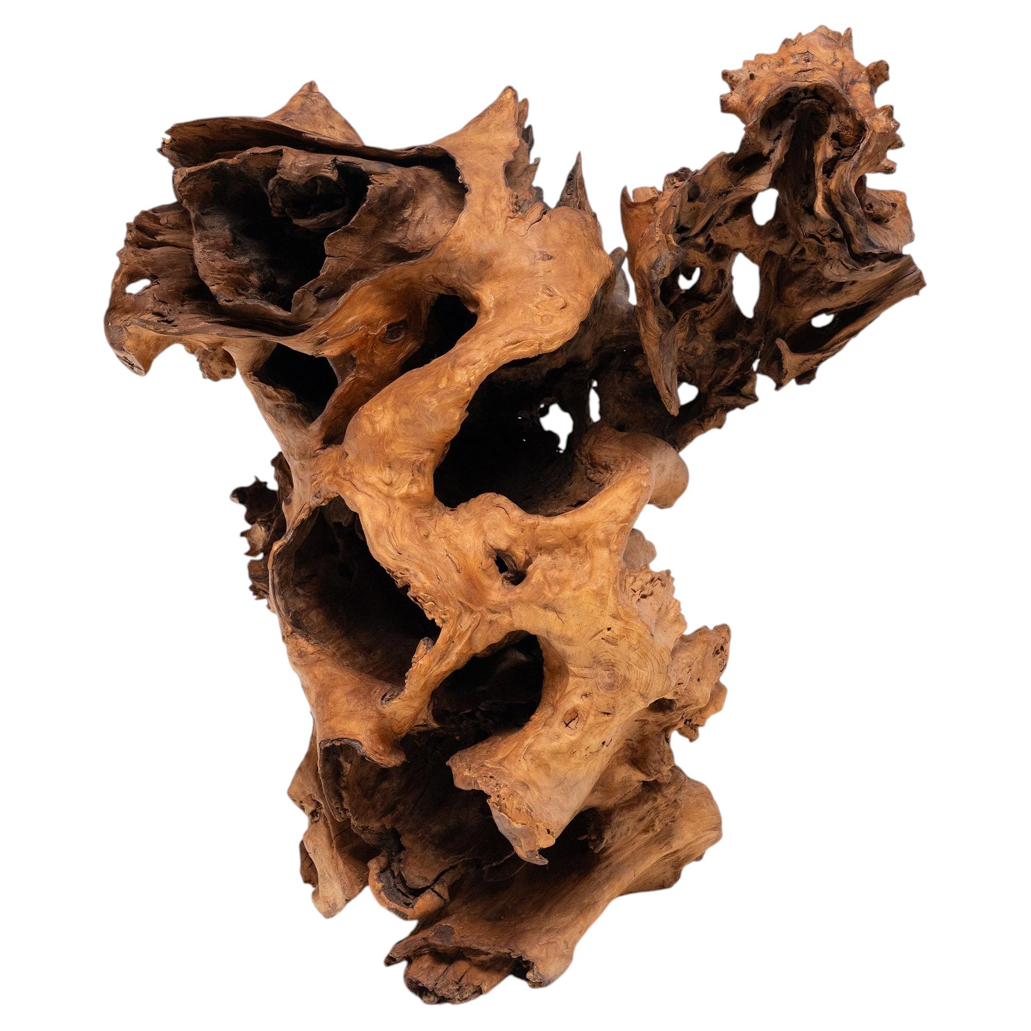 "Heartwood Grotto" Burl Wood Sculpture