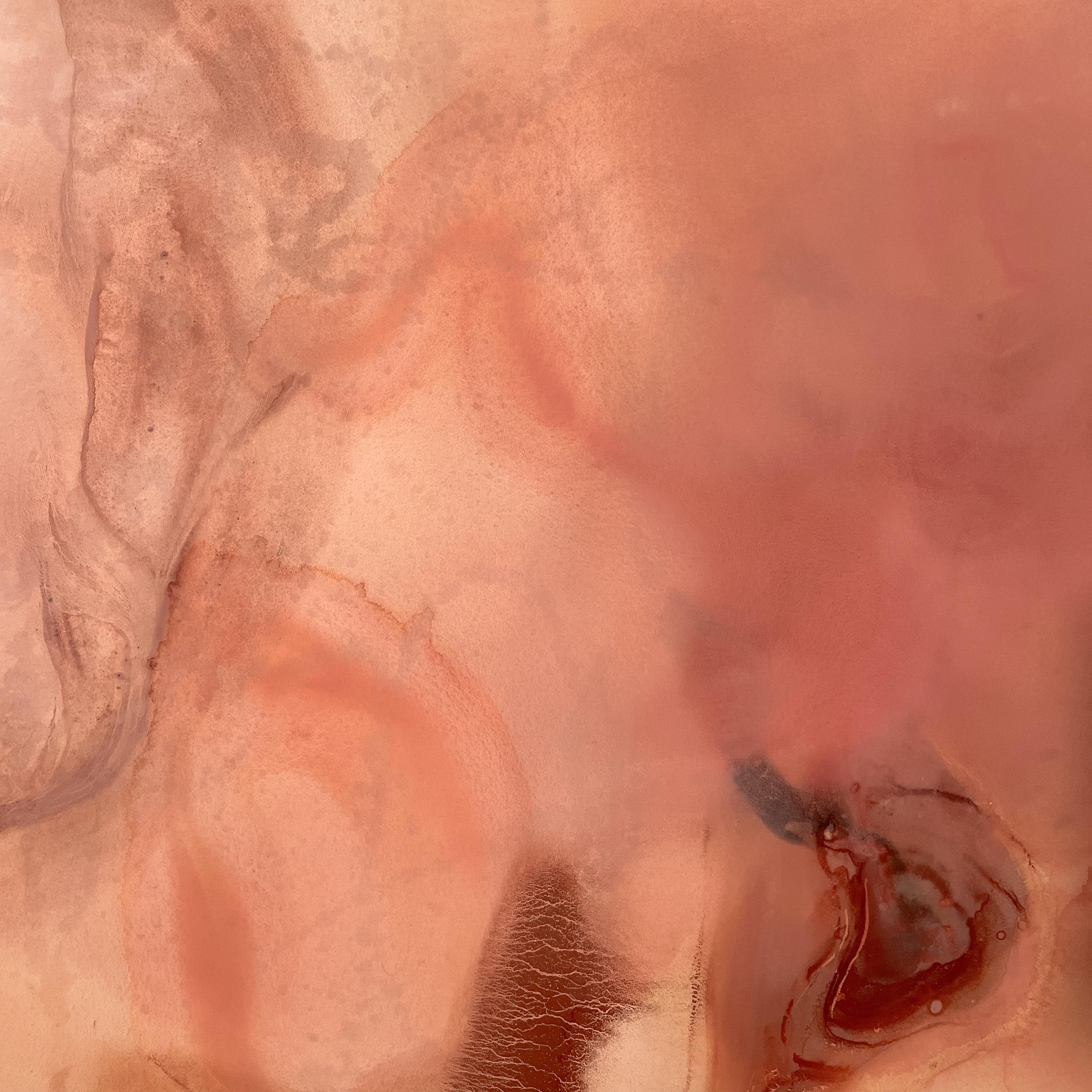 Affordances of Water (Atchafalaya Basin)' - astratto, etereo, fluviale - Abstract Painting Arancia di Heather Bird Harris