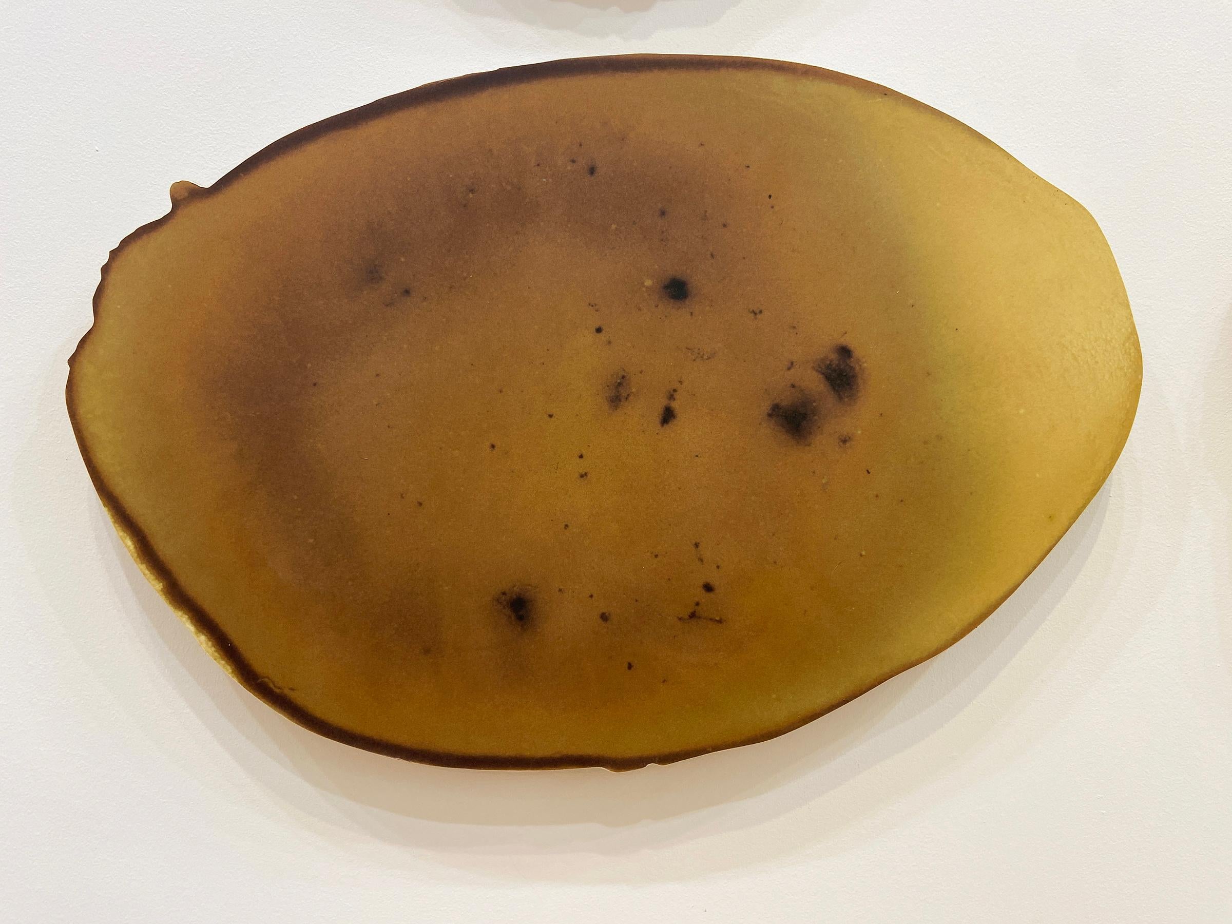 Este cuadro presenta tonos verdes, amarillos, rosas y naranjas. Estas piezas son impresiones de pigmentos de archivo montadas sobre panel. Las imágenes son macroescaneados de agua neutra (Izquierda) y agua alcalina (Derecha) mezcladas con tinta de: