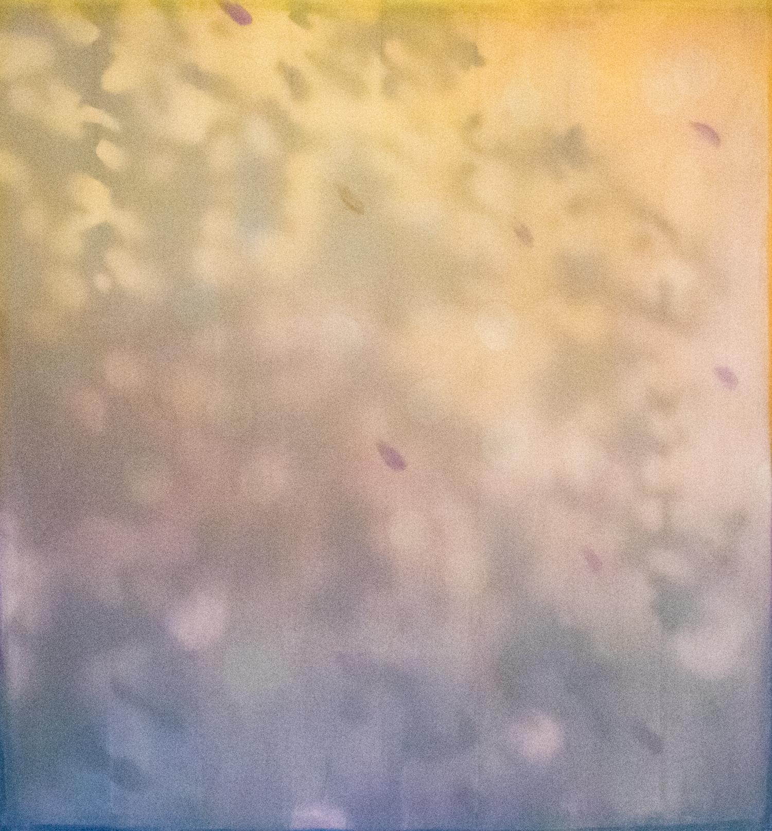 FLOAT III - pittura contemporanea a tecnica mista, astrazione di luce e ombra - Painting di Heather Hartman