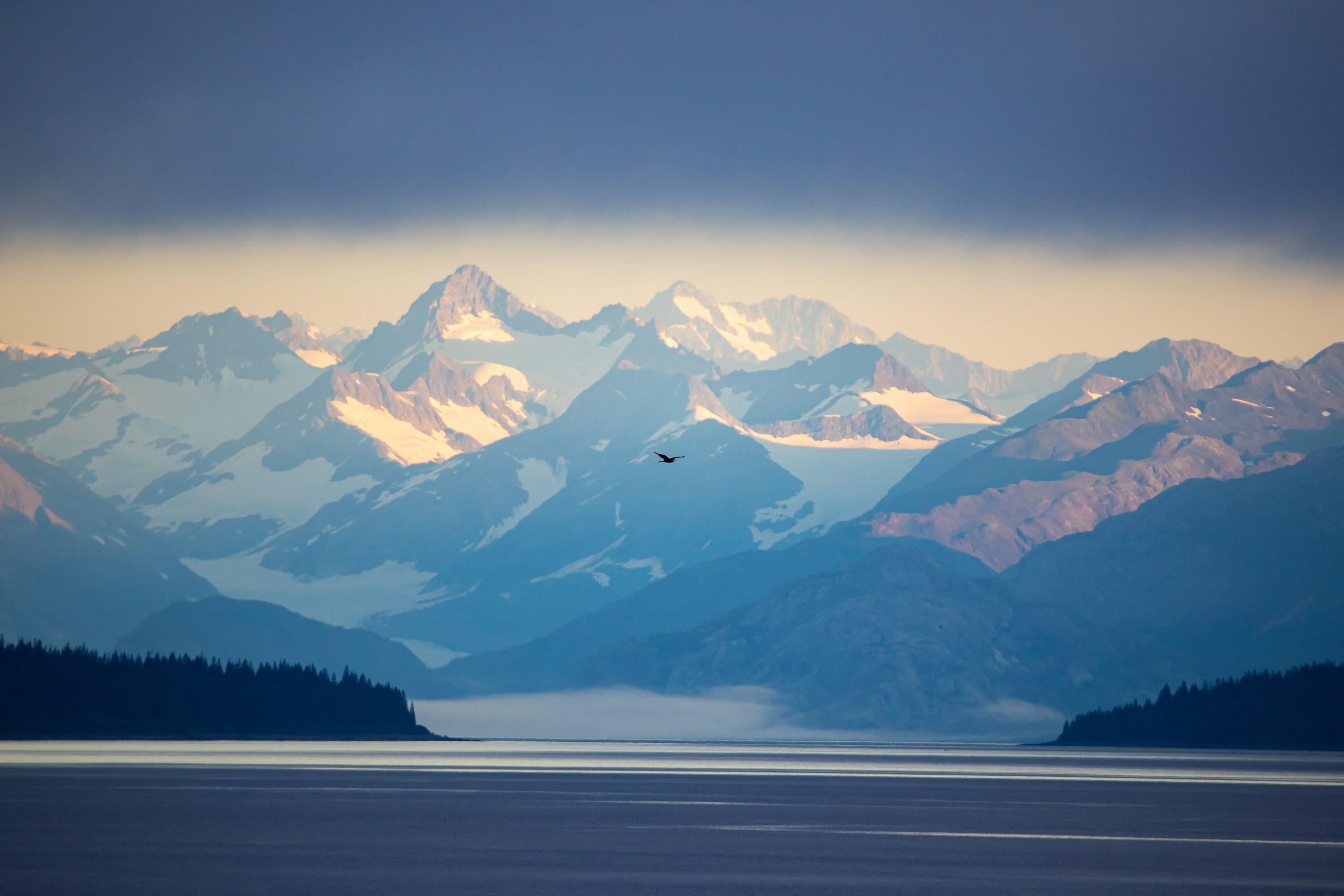 Landscape Photograph Heather Hollis - Voler haut (Parc national des Glaciers, Paysage sauvage, Envol, ~34% DE RÉDUCTION)