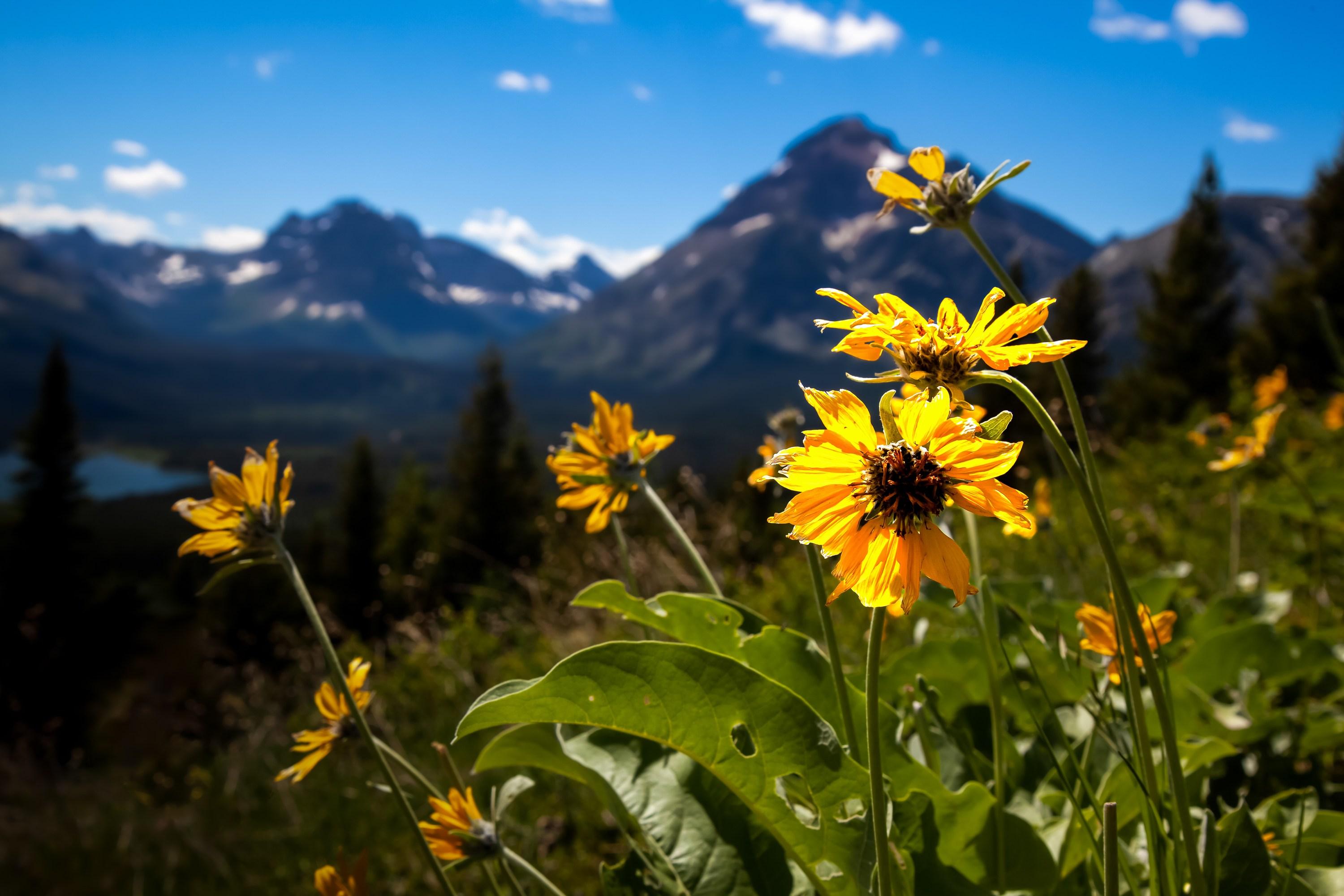 Montañas Majestad (Paisaje, Lago glaciar, Dramático, Niebla, Picos, ~34% DESCUENTO)