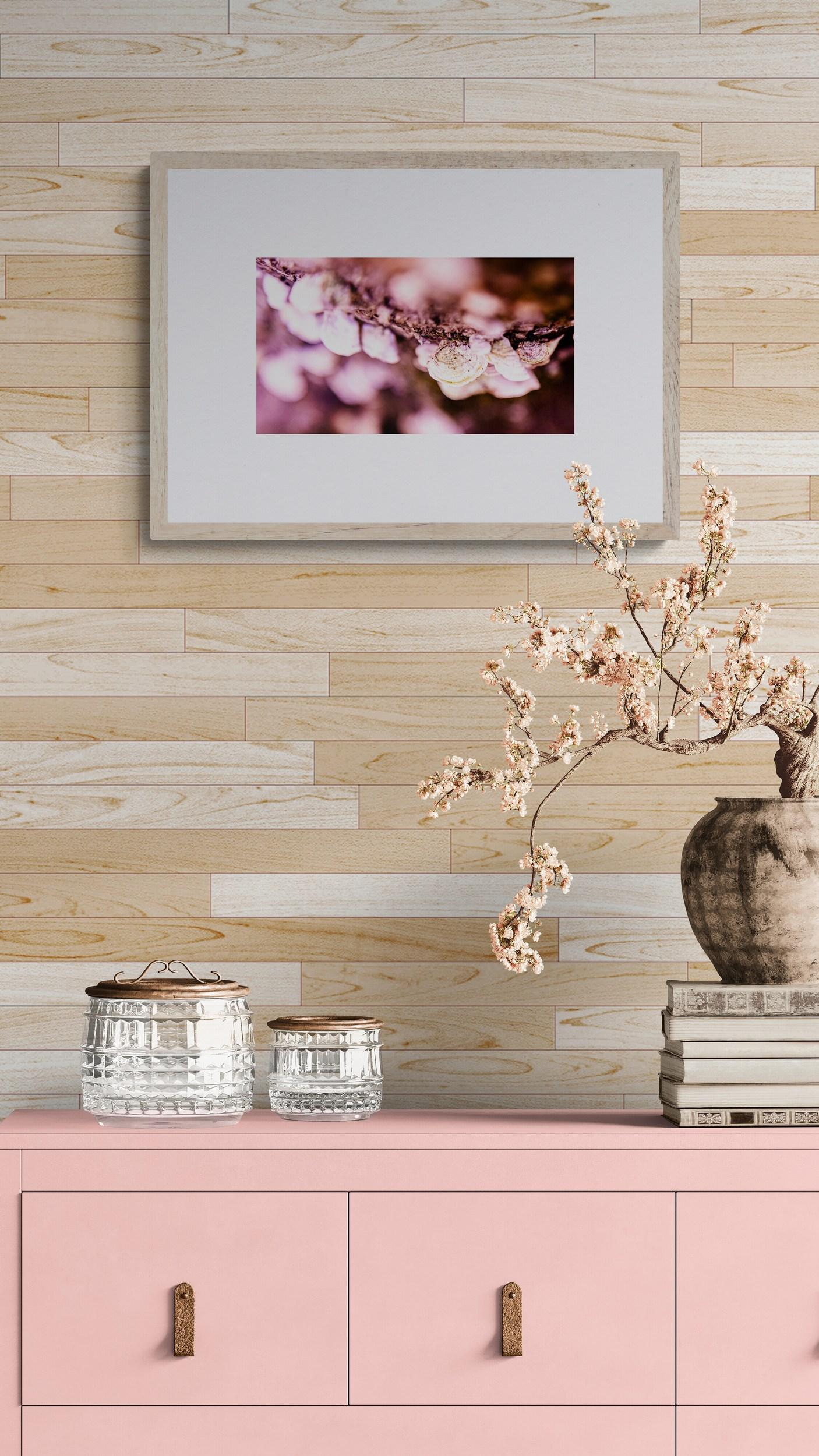 Pink Perception (Blumig, Rosa, Weich, Warm, Frühling, Sommer) – Photograph von Heather Hollis