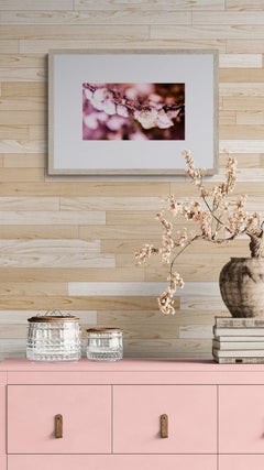 Pink Perception (Blumig, Rosa, Weich, Warm, Frühling, Sommer)