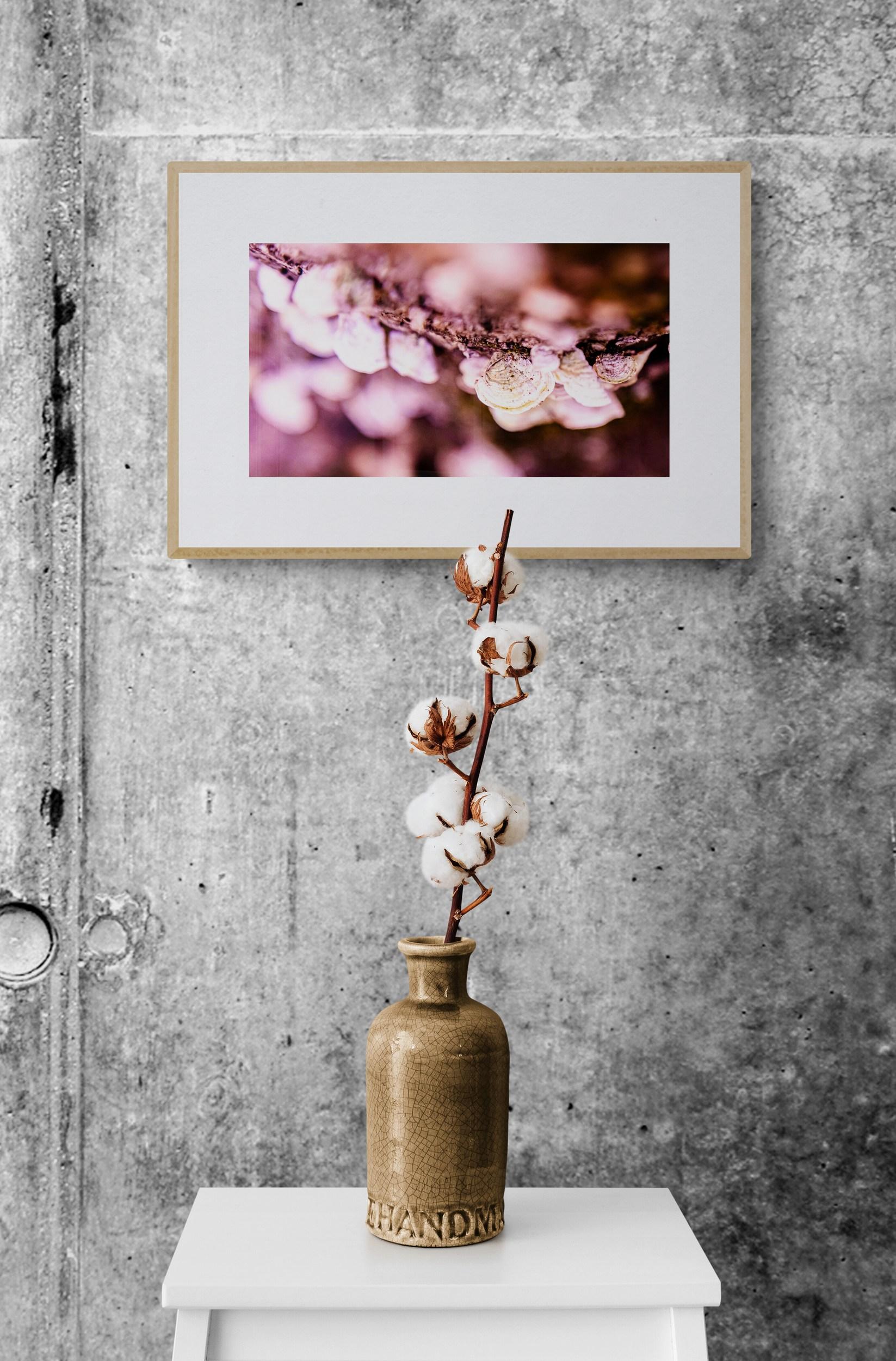 Pink Perception (Blumig, Rosa, Weich, Warm, Frühling, Sommer) (Beige), Color Photograph, von Heather Hollis