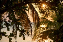 Heather Hollis - Sunset Palms (Tramonto caraibico, Tropicale, Caldo, Brezza, ~34% OFF) Sunset Palms (Tramonto caraibico, Tropicale, Caldo, Brezza, ~34% OFF)