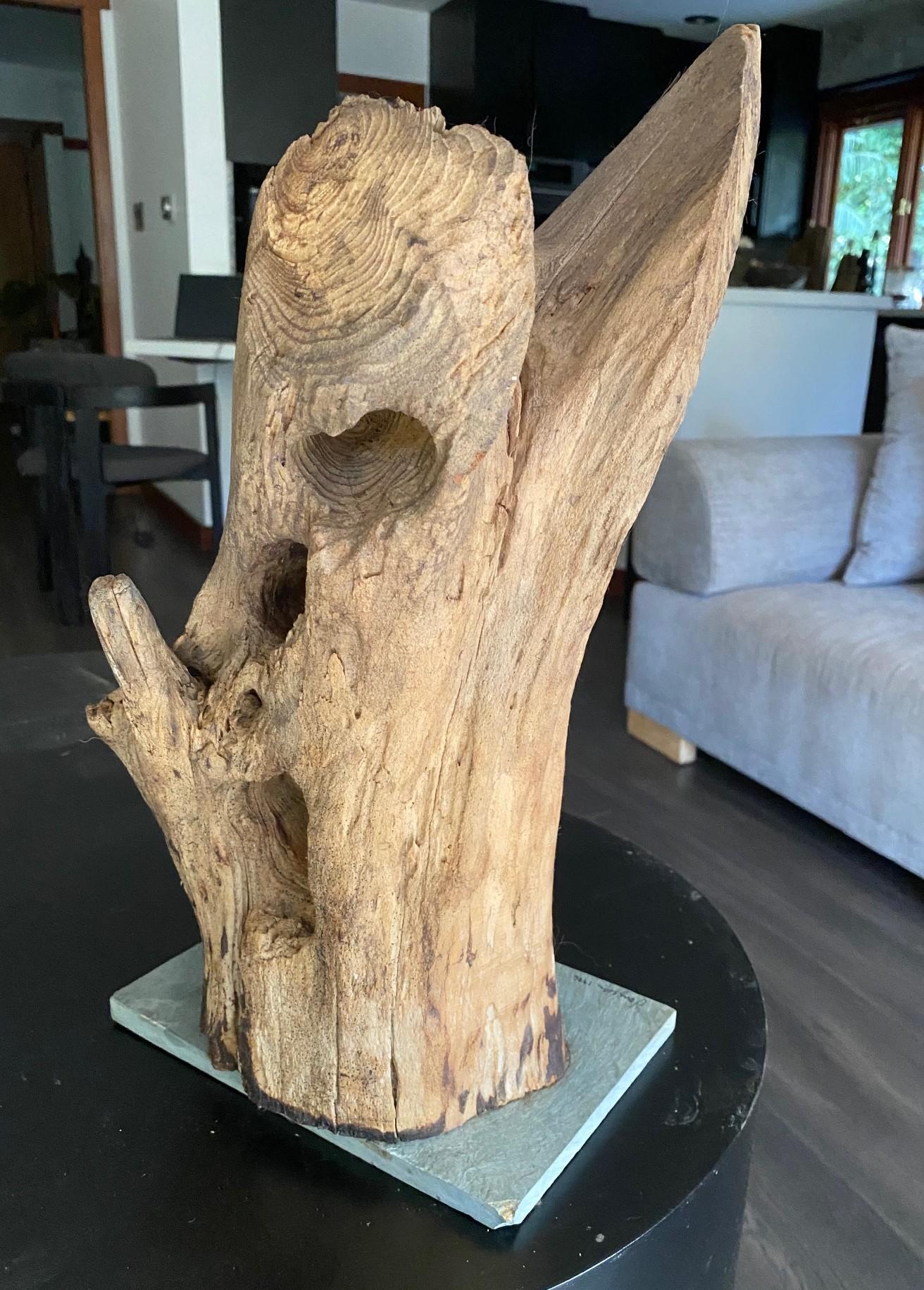 Heather Jansch Firmado Reino Unido Escultura británica Escultura abstracta de madera en venta 2