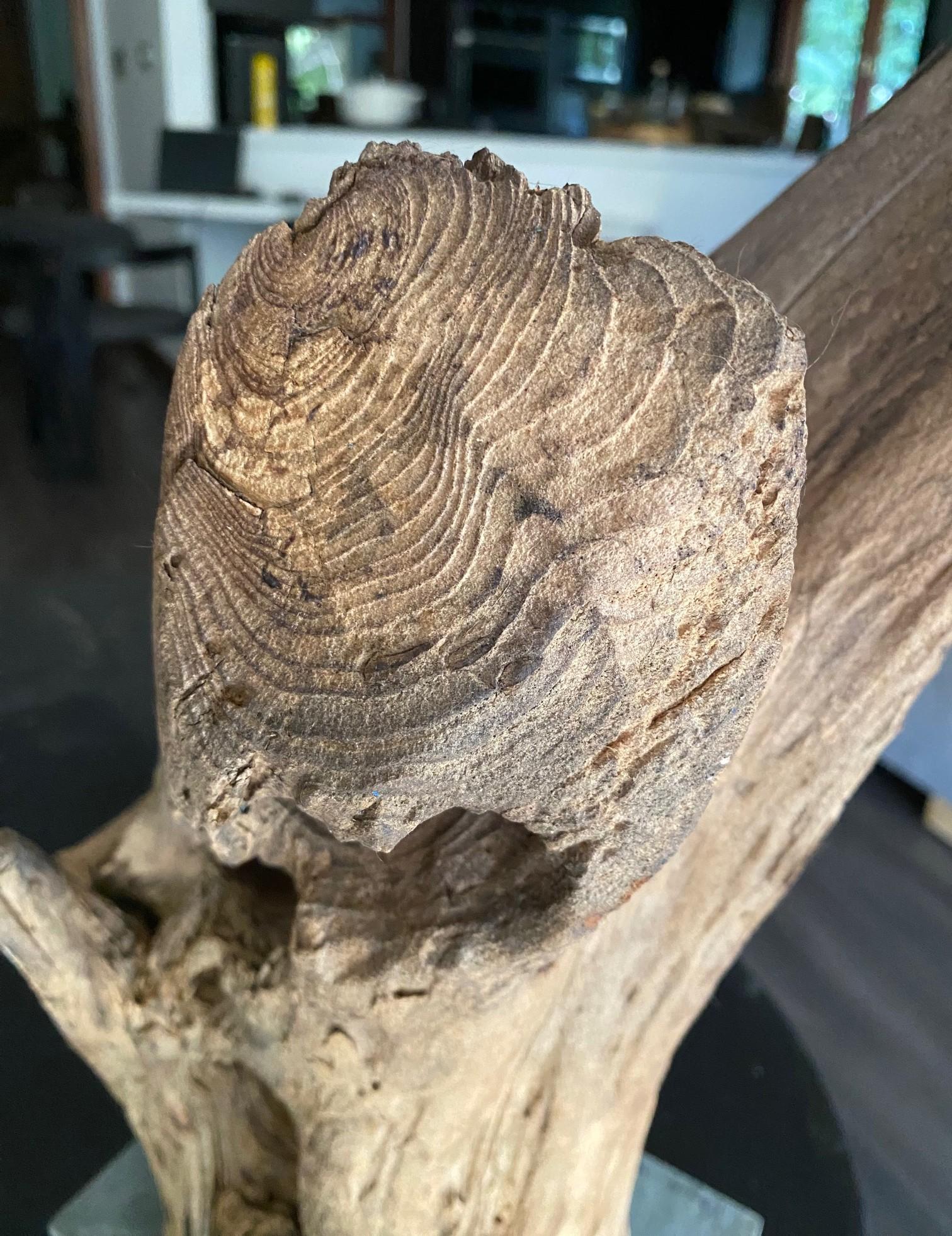 Heather Jansch Firmado Reino Unido Escultura británica Escultura abstracta de madera en venta 3