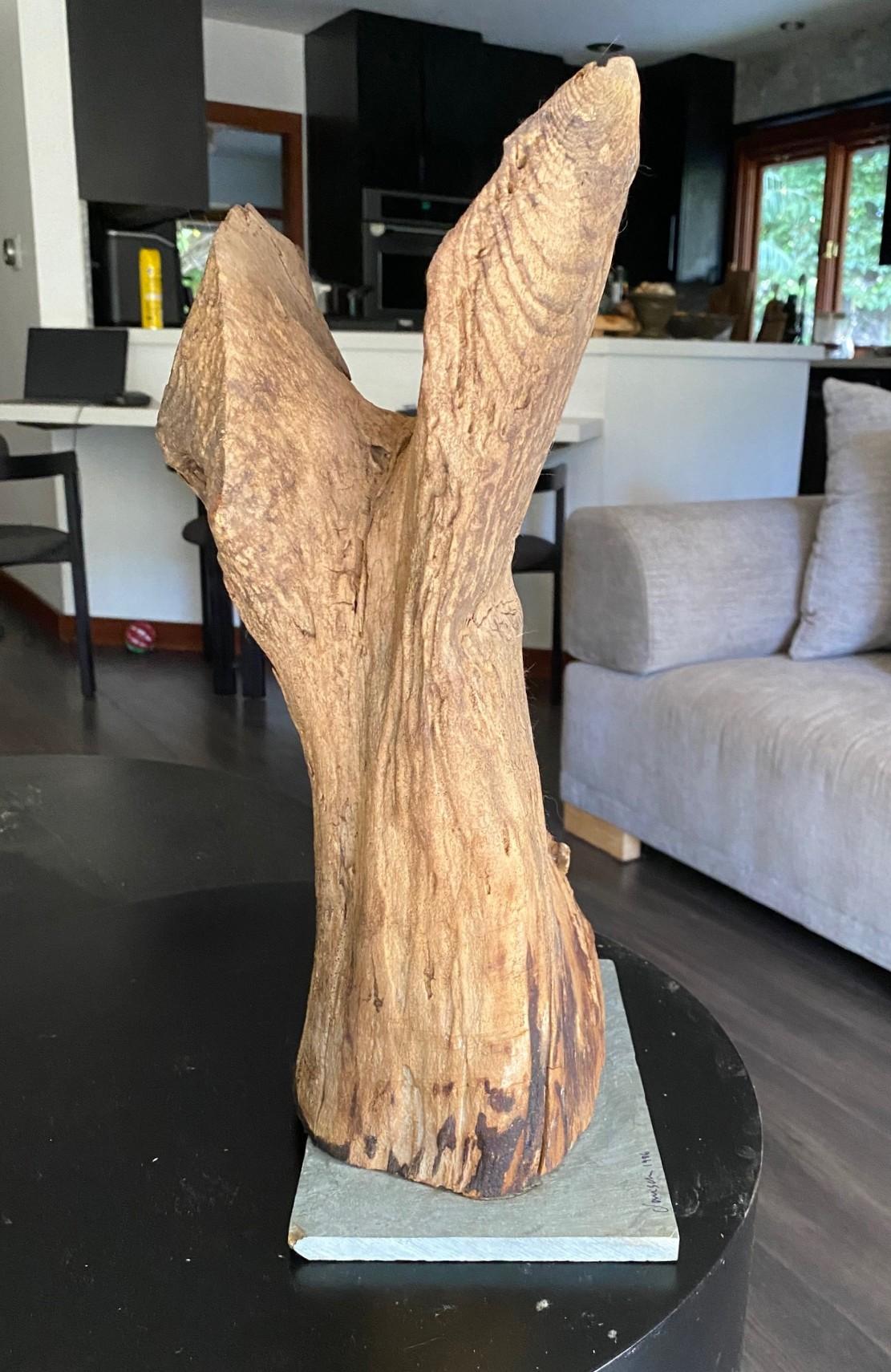 Heather Jansch Firmado Reino Unido Escultura británica Escultura abstracta de madera en venta 4
