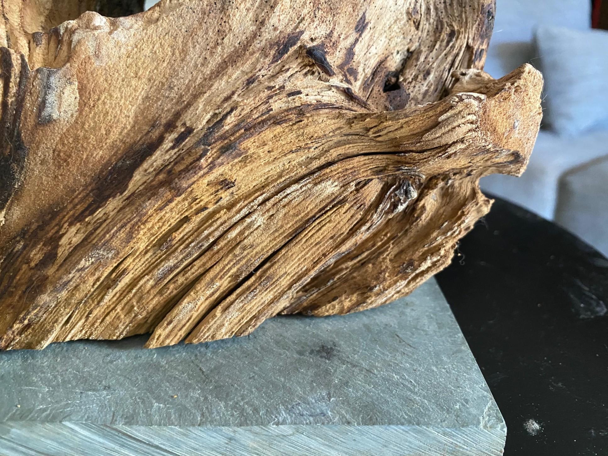 Heather Jansch Firmado Reino Unido Escultura británica Escultura abstracta de madera en venta 7