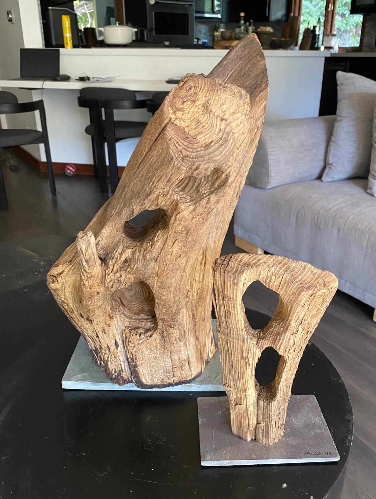 Heather Jansch Firmado Reino Unido Escultura británica Escultura abstracta de madera en venta 12