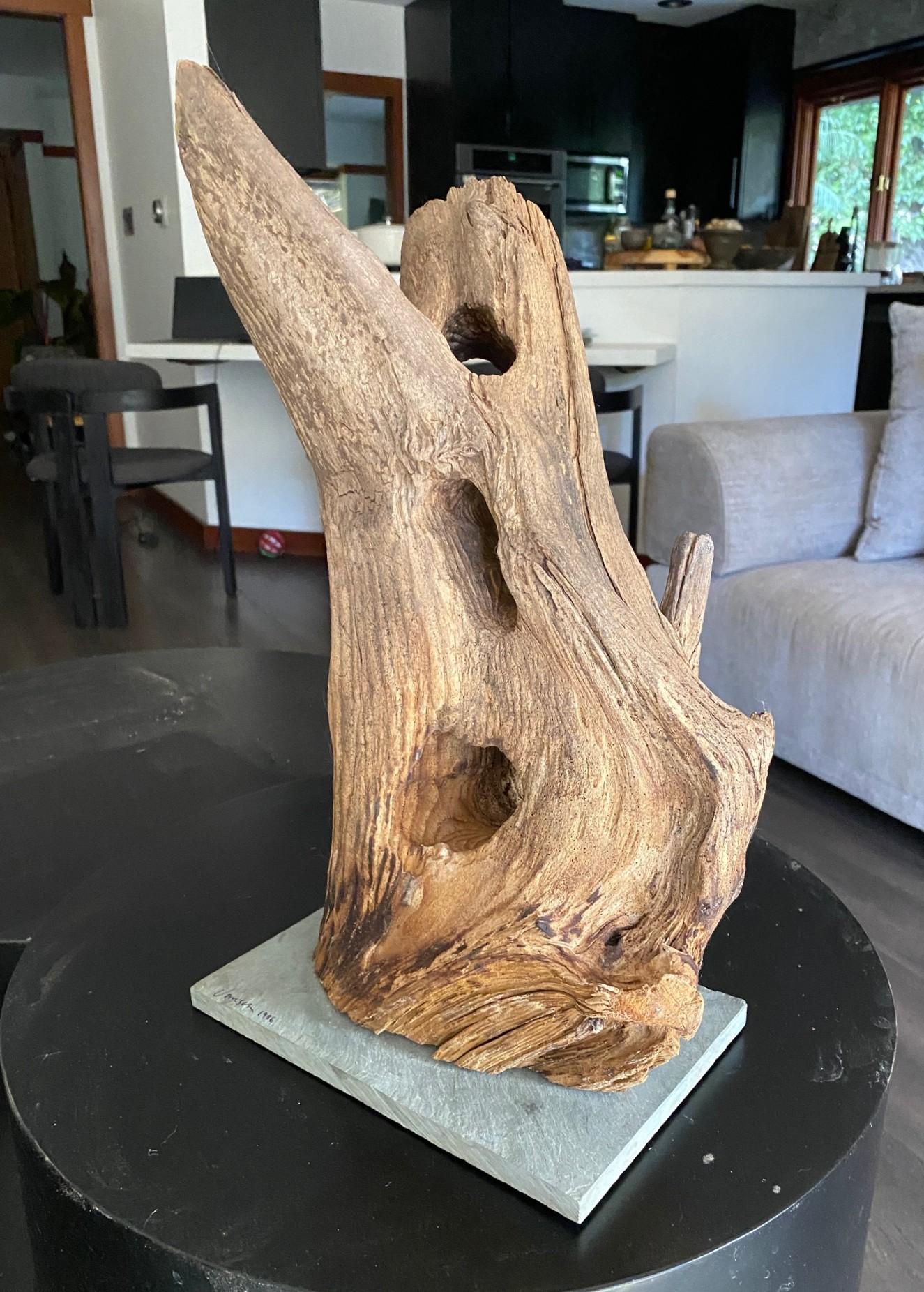 Heather Jansch Firmado Reino Unido Escultura británica Escultura abstracta de madera Hecho a mano en venta