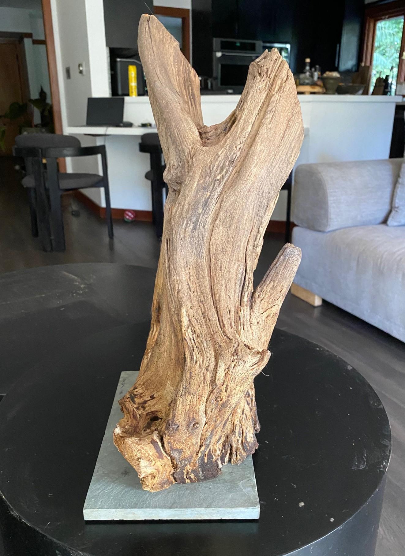 Heather Jansch Firmado Reino Unido Escultura británica Escultura abstracta de madera en Bueno estado para la venta en Studio City, CA