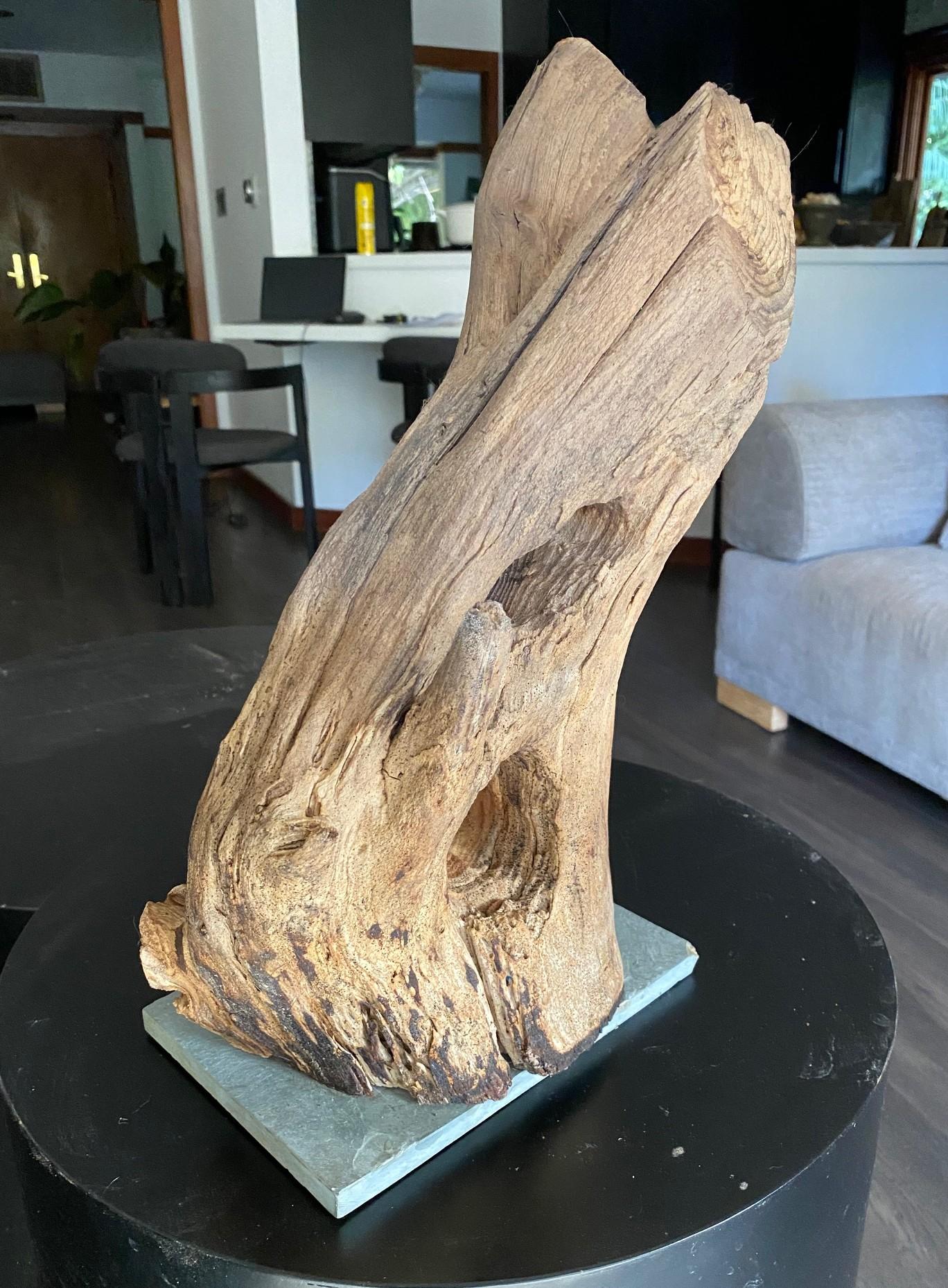 Heather Jansch Firmado Reino Unido Escultura británica Escultura abstracta de madera finales del siglo XX en venta