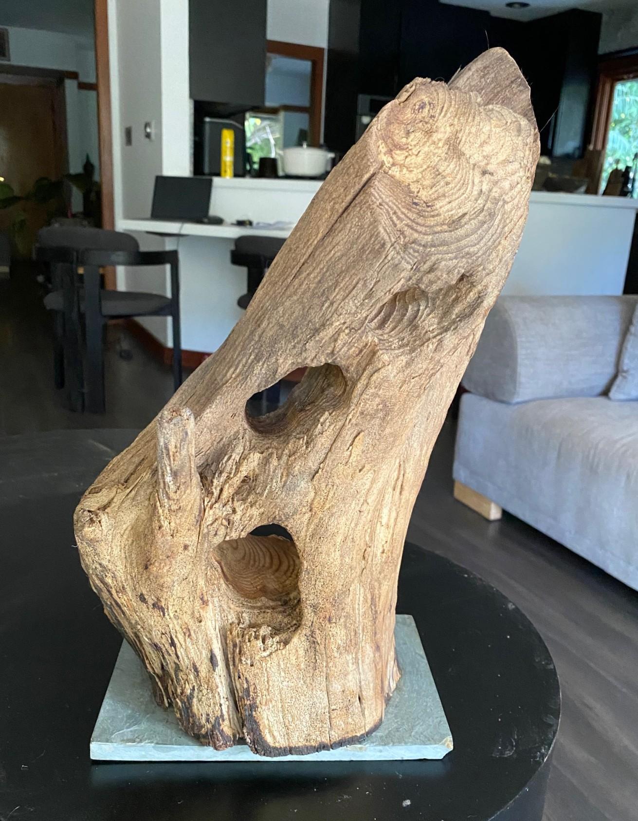 Heather Jansch Firmado Reino Unido Escultura británica Escultura abstracta de madera Madera en venta