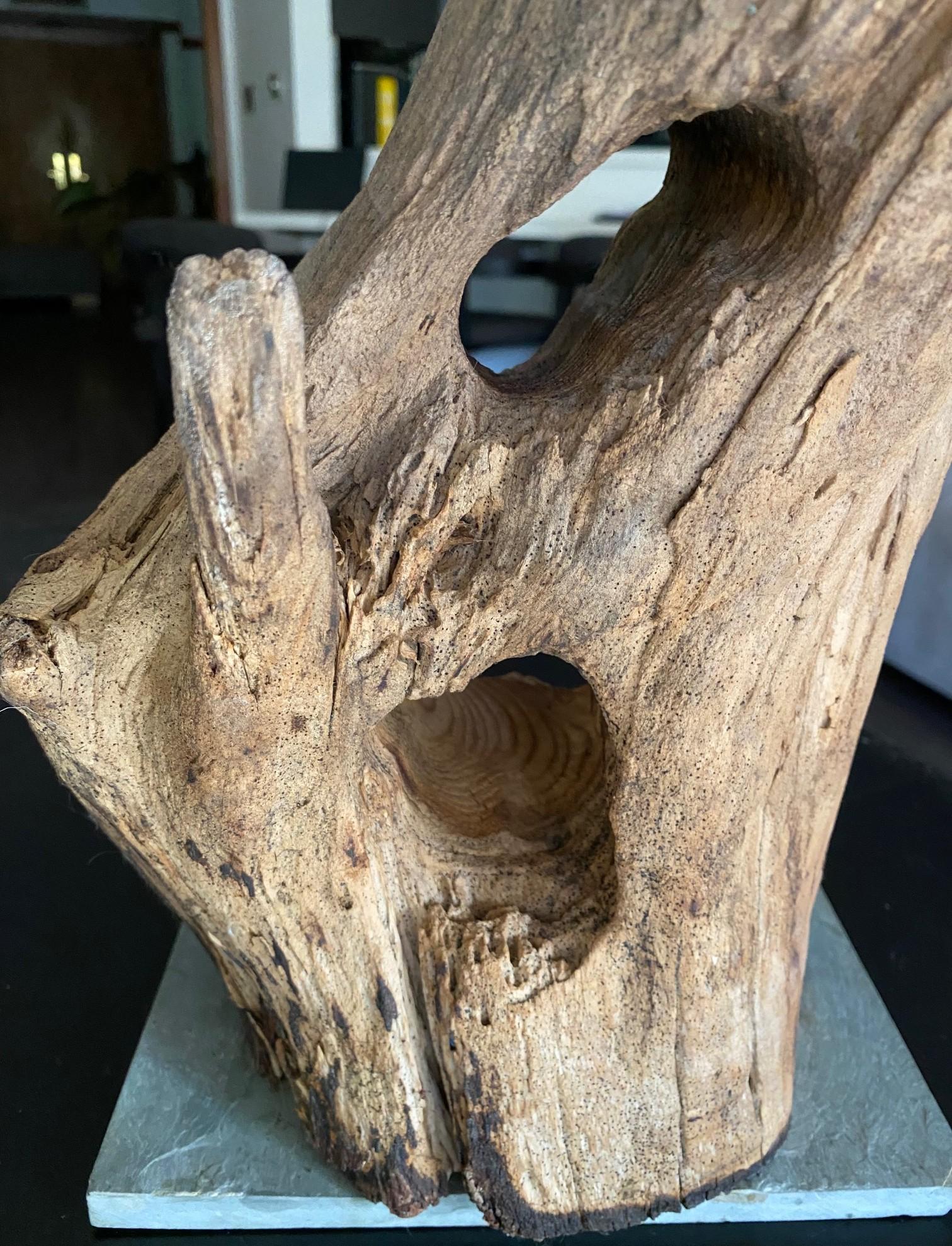 Heather Jansch Firmado Reino Unido Escultura británica Escultura abstracta de madera en venta 1