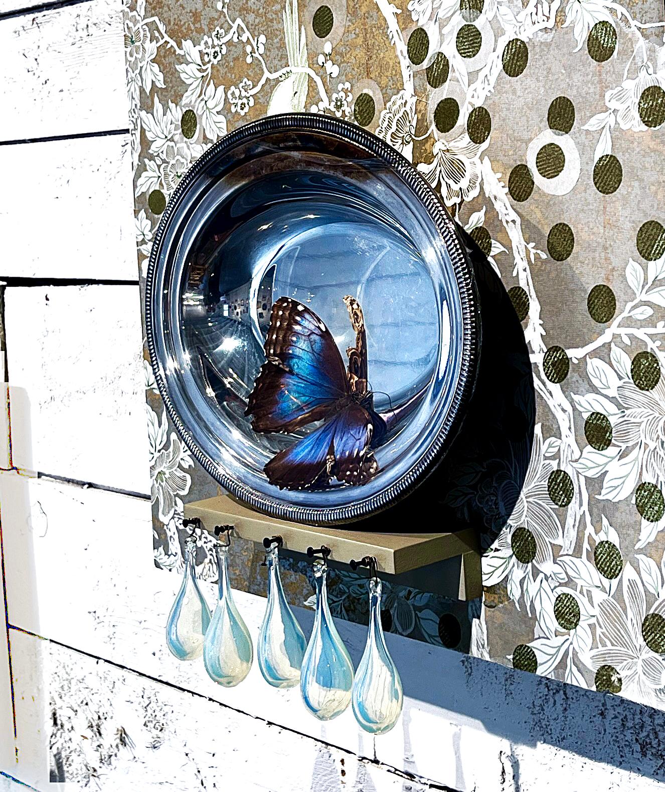 Parlour, papier peint, verre, plateau en argent, papillon, clous, monté sur carton - Assemblage Sculpture par Heather Nicol