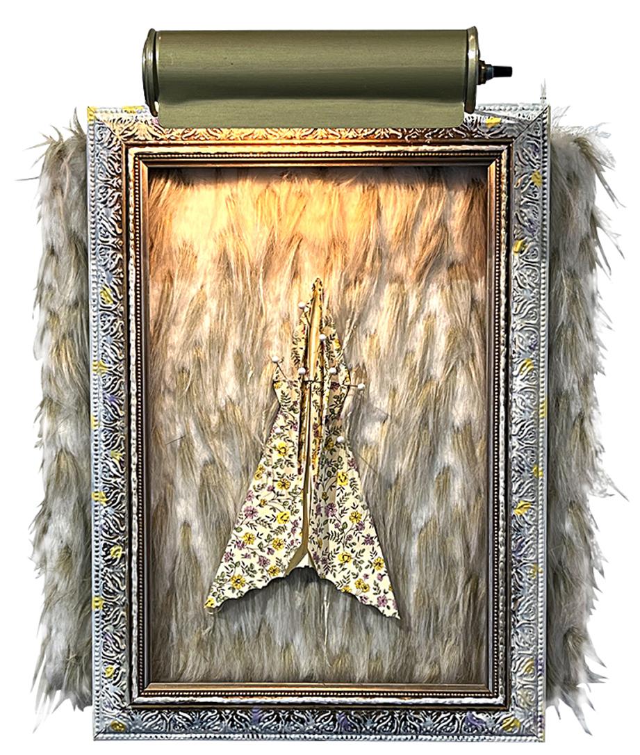 Heather Nicol Still-Life Sculpture - "Specimen", frame with electric picture light, faux fur, paper, pins, on board