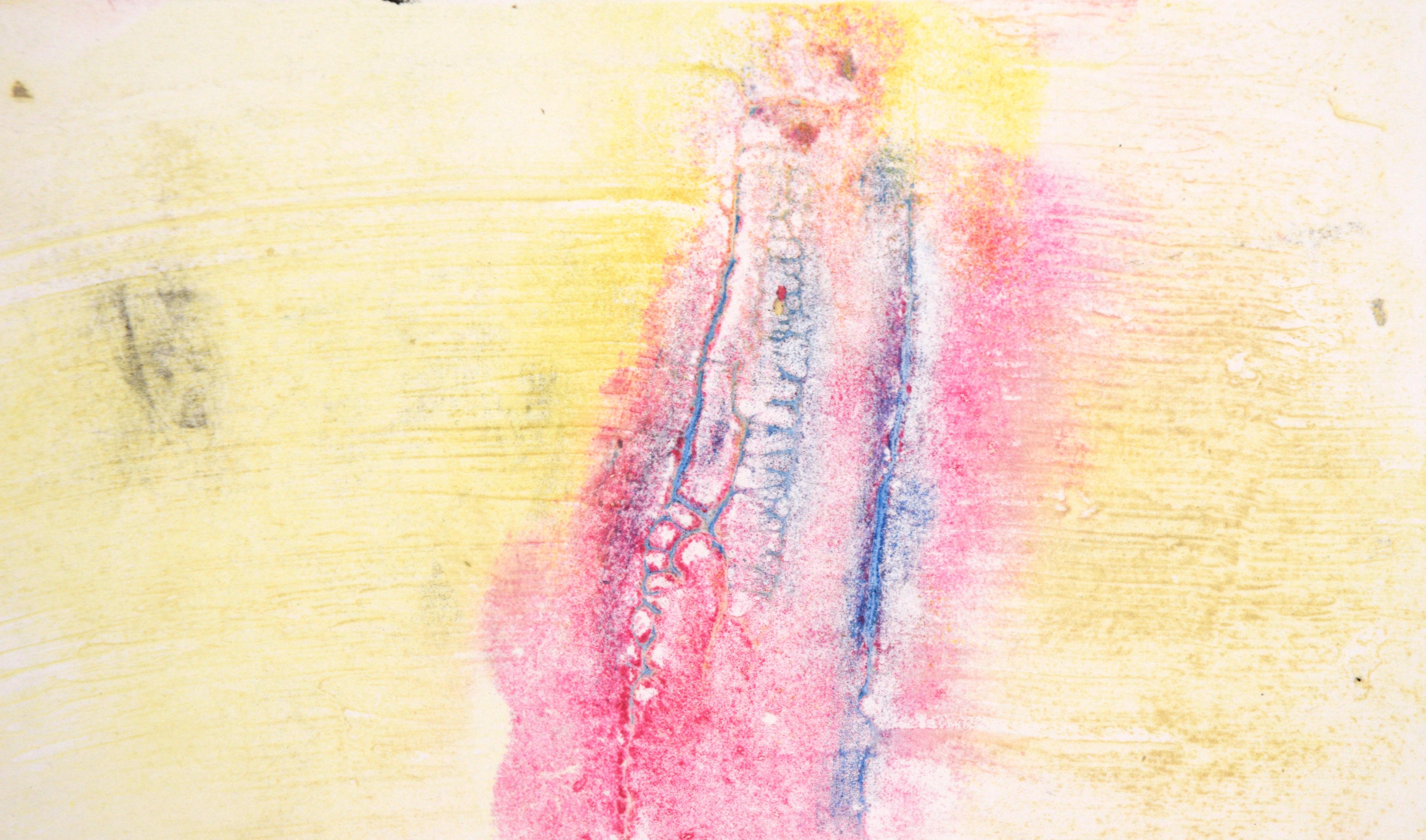 Blau und Rosa auf Gelb - Texturierte Transfermonotypie in Öl auf Papier

Original handgemalte und übertragene Monotypie der kalifornischen Künstlerin Heather Speck (Amerikanerin, 20. Jh.). Rosa und blaue Texturen heben sich von einem gelben
