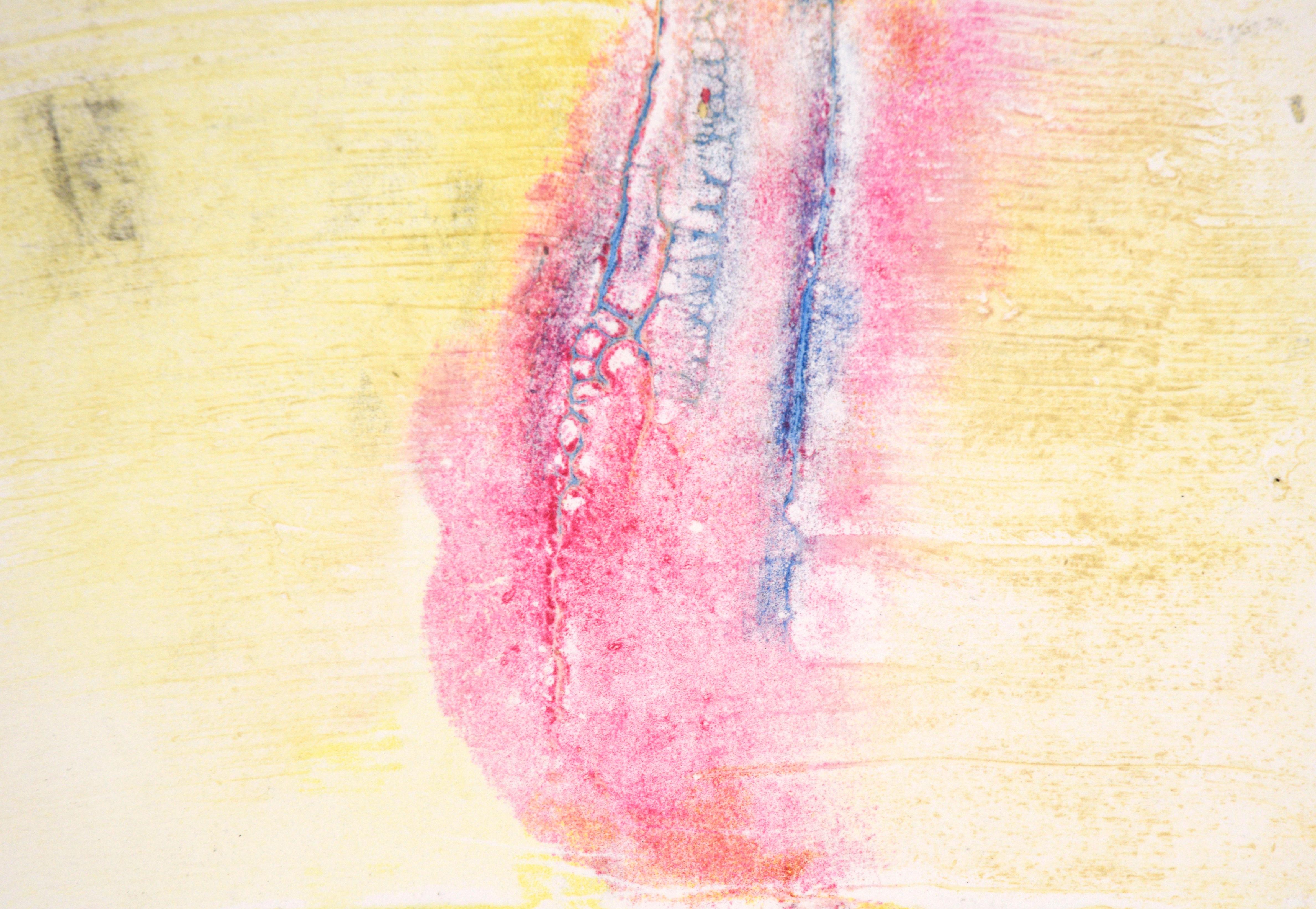 Blue and Pink on Yellow - Textured Transfer Monotype in Oil on Paper For Sale 1
