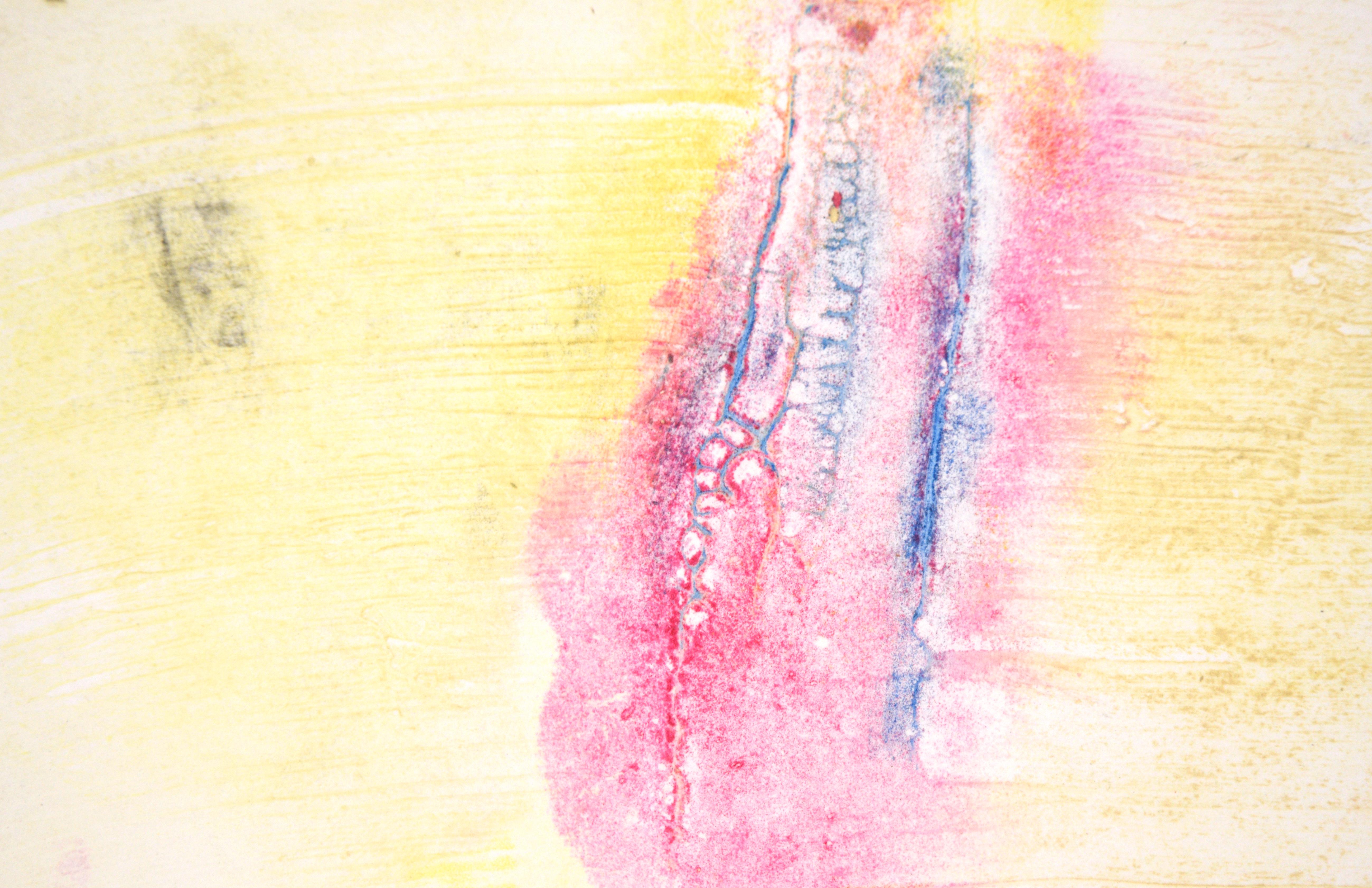 Blue and Pink on Yellow - Textured Transfer Monotype in Oil on Paper For Sale 2