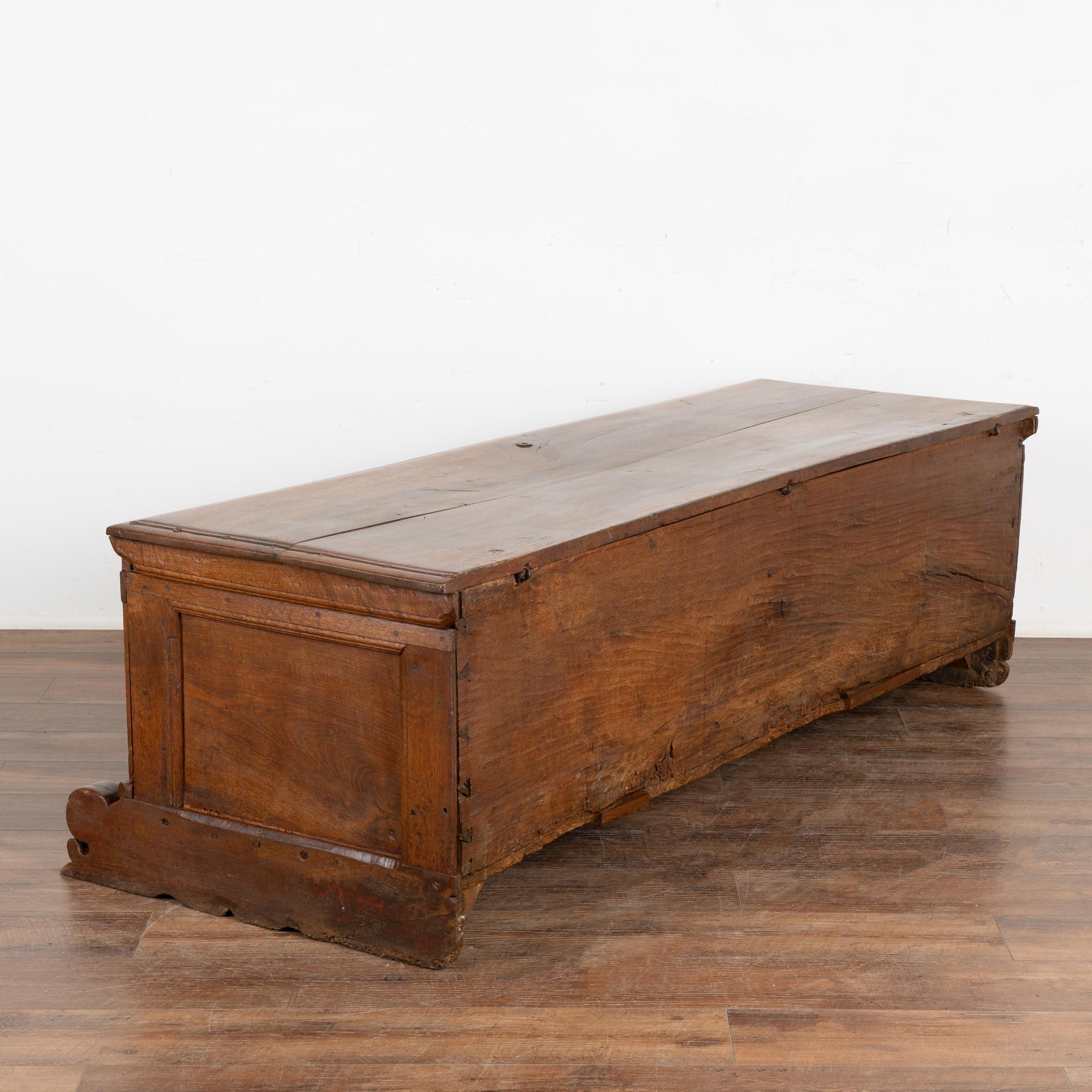 Heavily Carved Oak Coffer or Large Trunk, Denmark circa 1750 For Sale 5
