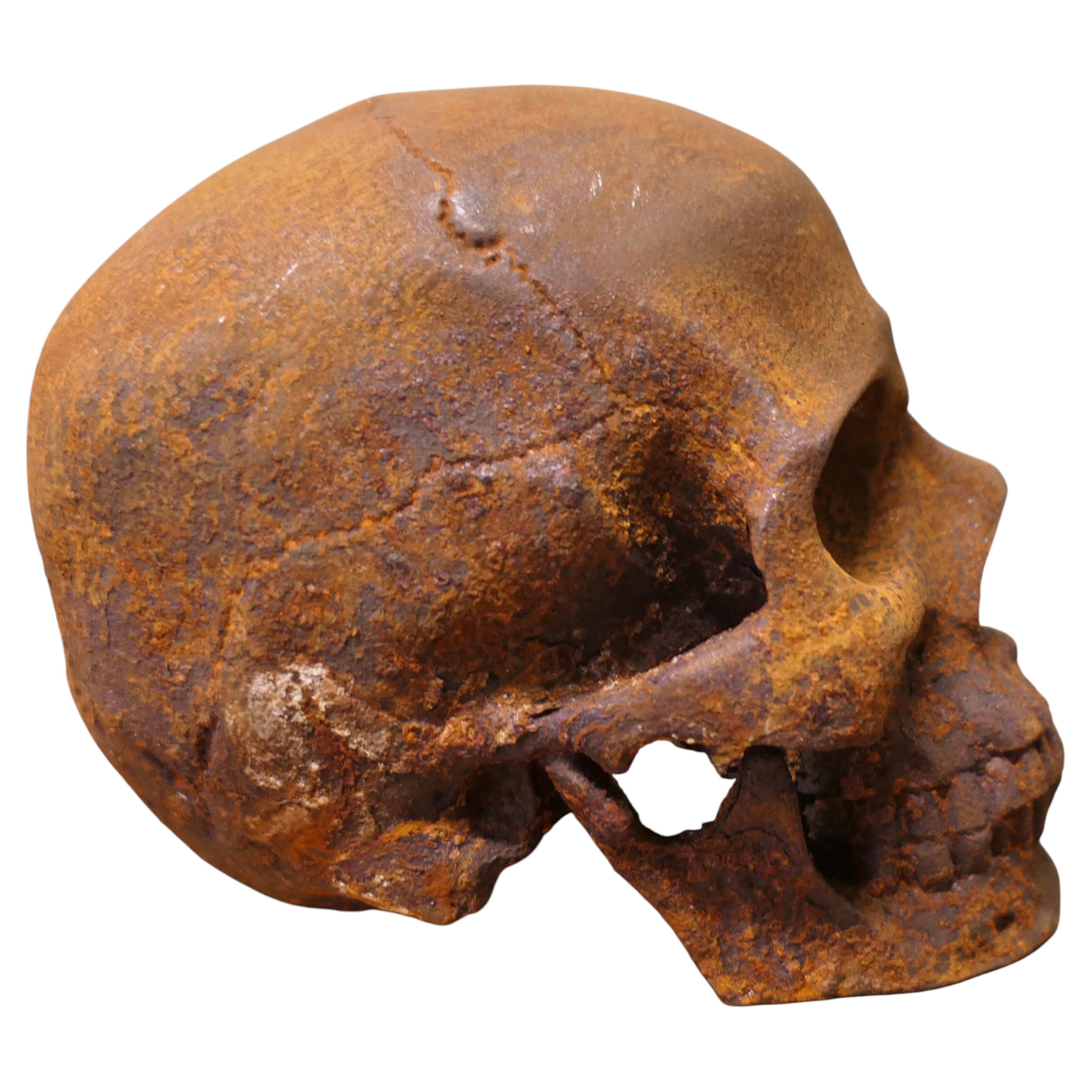 Heavily Rusted Cast Iron Human Scull Sculpture This is a Heavily Rusted Scull