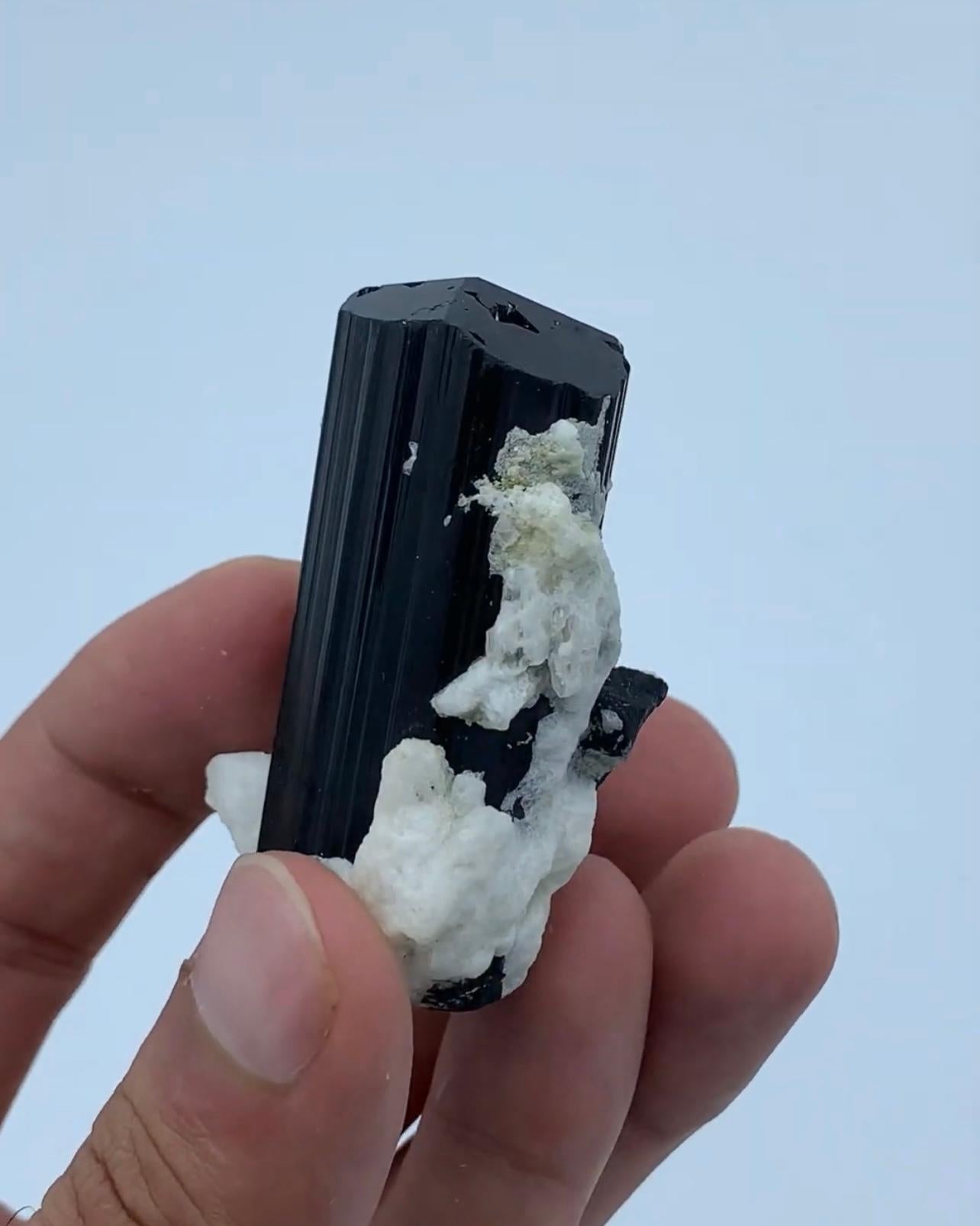 Product Information:

Specimen Name: Tourmaline crystals on Albite

Weight: 88 grams

Dimensions: H: 5.7 x W: 4 x D: 3.5 cm

Treatment: None

Origin: Kunnar Province, Afghanistan

Description:

This exquisite specimen features a lustrous Schorl