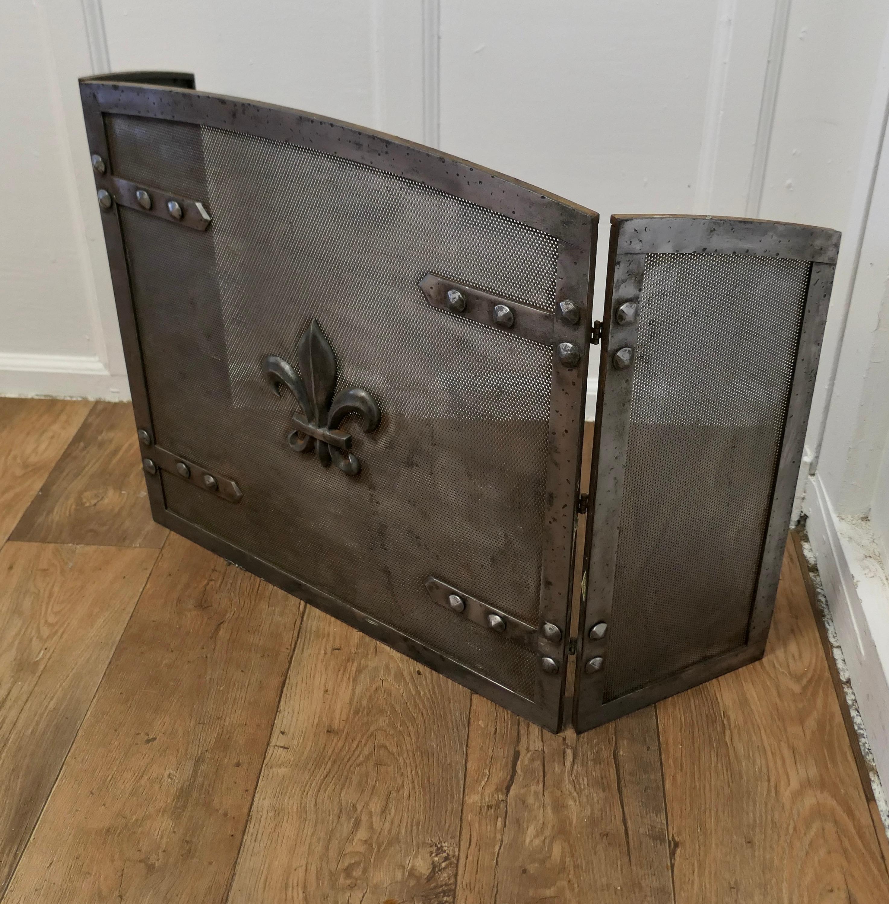 Heavy Arts and Crafts Steel Fire Guard for Inglenook Fireplace    3