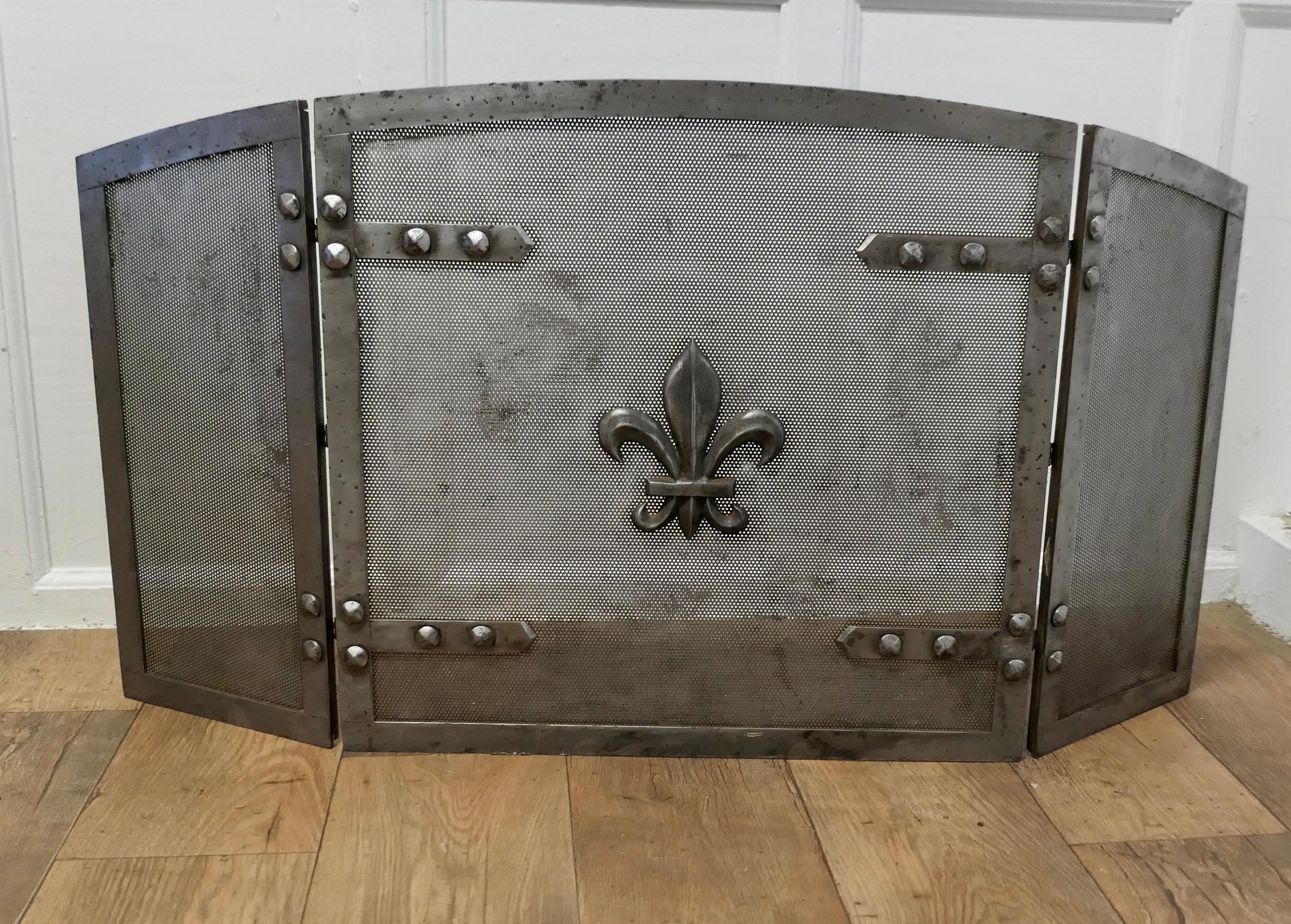 Heavy Arts and Crafts Steel Fire Guard for Inglenook Fireplace    5