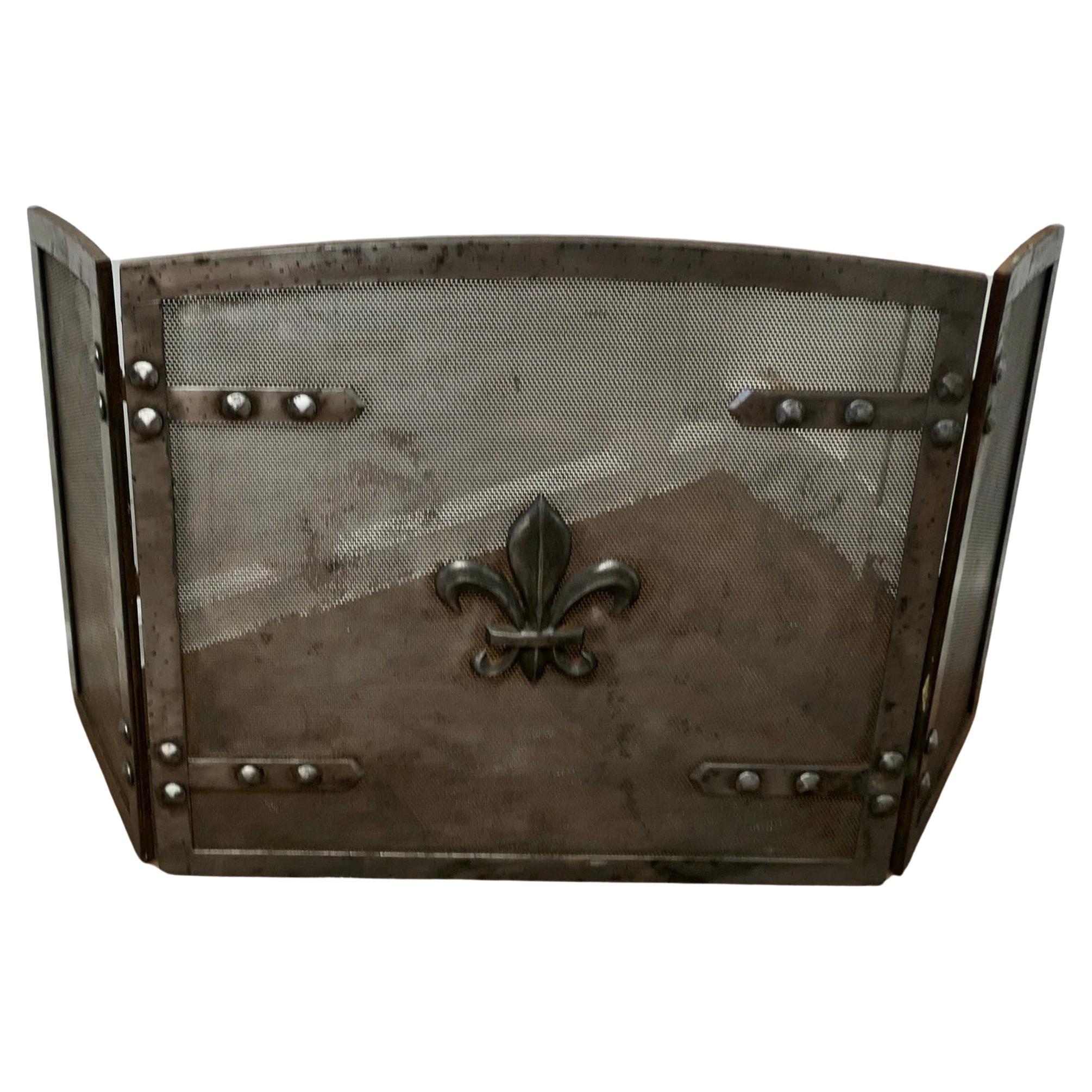 Heavy Arts and Crafts Steel Fire Guard for Inglenook Fireplace   