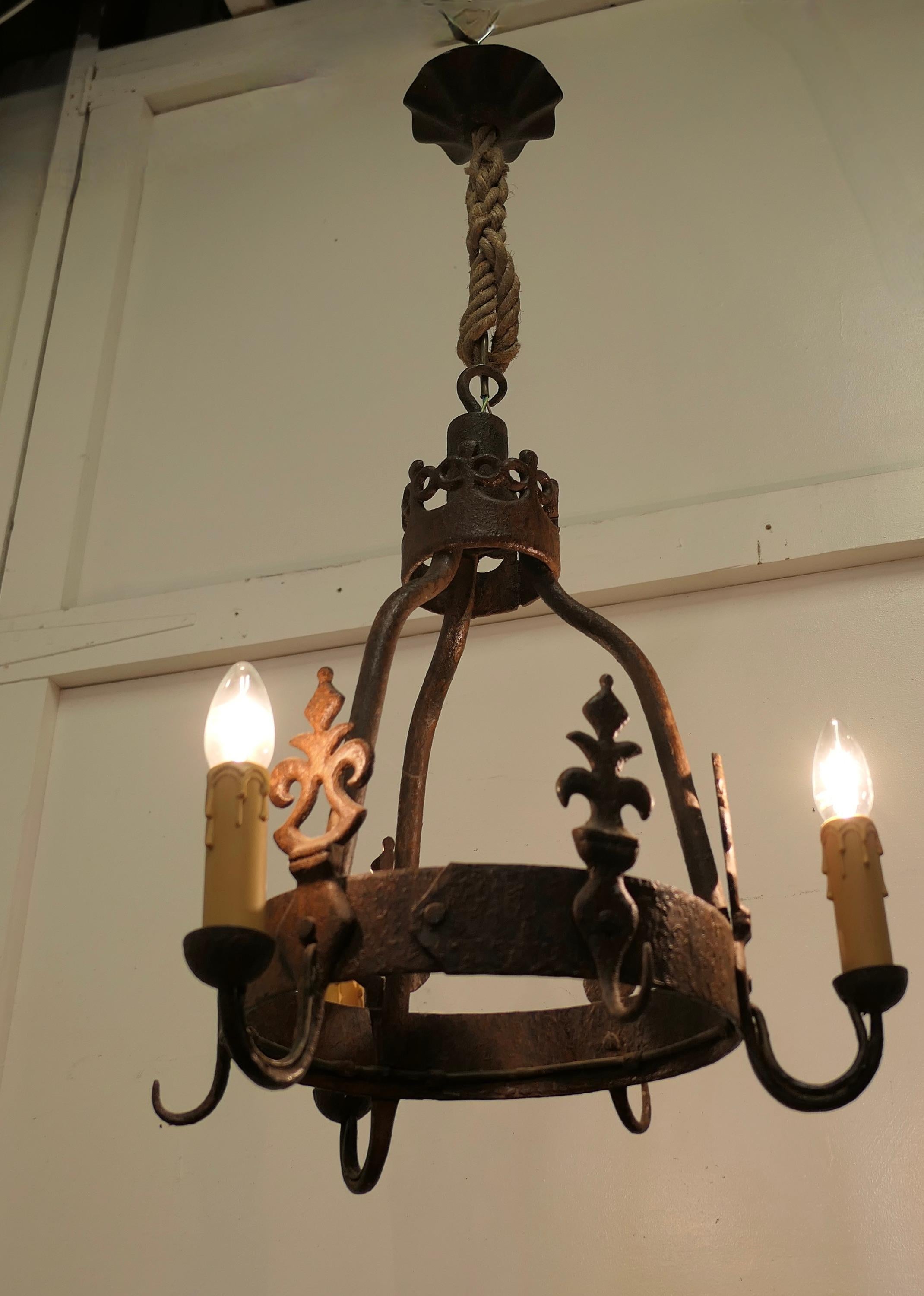 Heavy French Blacksmith Made Iron Game Hanger, made as a Light Fitting For Sale 1