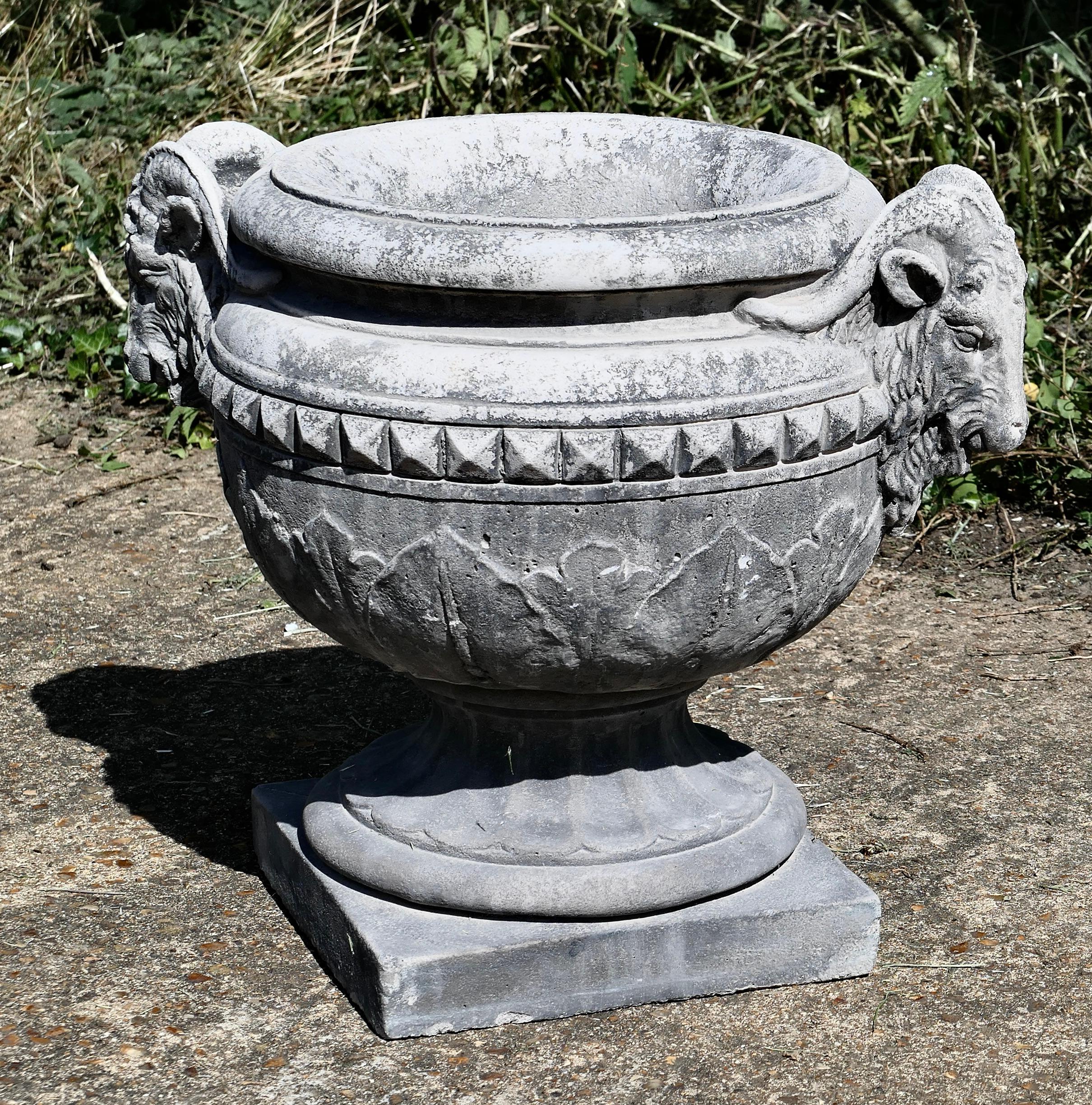 Heavy Garden Urn Ram’s Head Planter


Beautifull Garden Urn decorated with Ram’s heads, one at each side 
The Urn is in good Condition and this one is Very Heavy

The Urn is  18” tall, 21” at the wides widest and the base is 21” square
 WD141