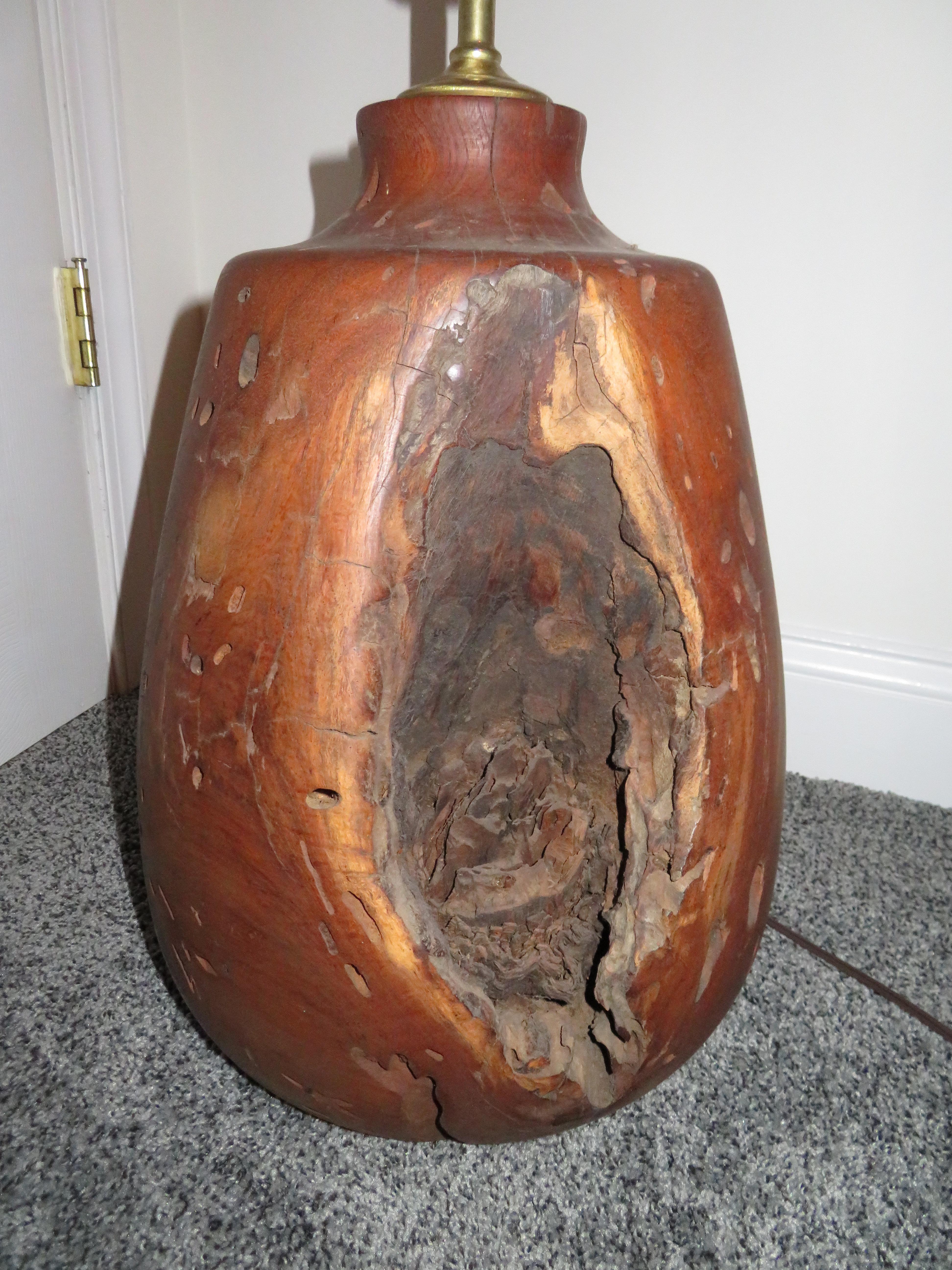 Heavy and large organic modern Manzanita root lamp.