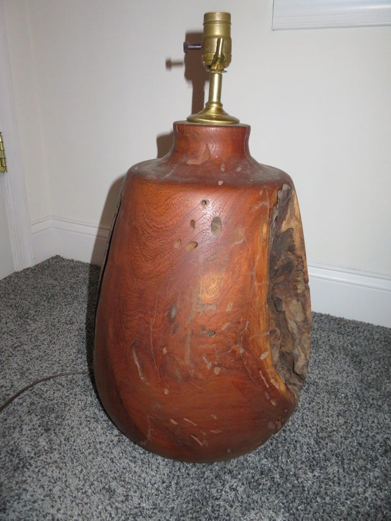 Heavy Large Organic Modern Manzanita Tree Root Lamp For Sale at 1stDibs