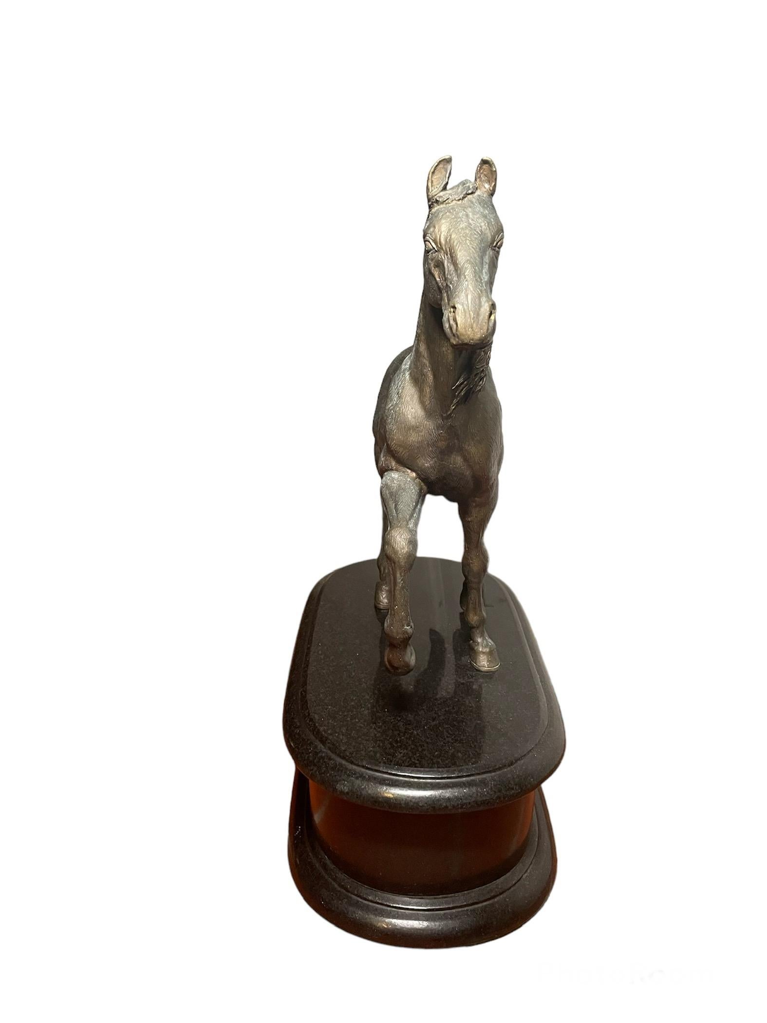Heavy Patinated Bronze Sculpture Of A “Paso Fino” Horse For Sale 2