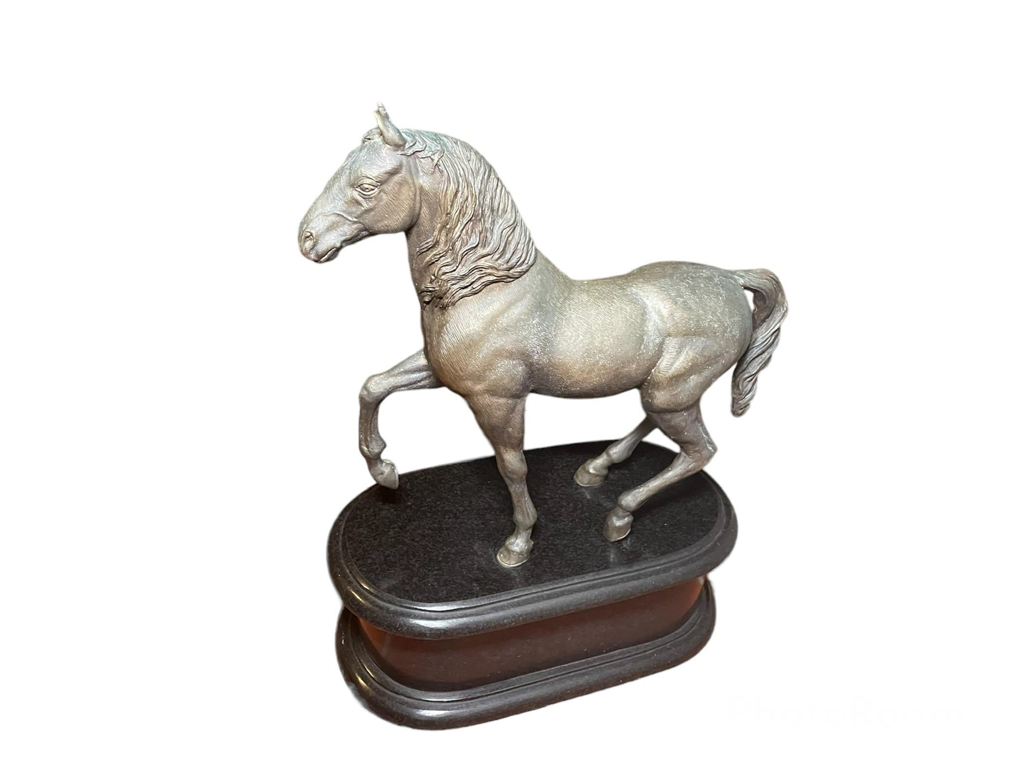 Heavy Patinated Bronze Sculpture Of A “Paso Fino” Horse For Sale 5