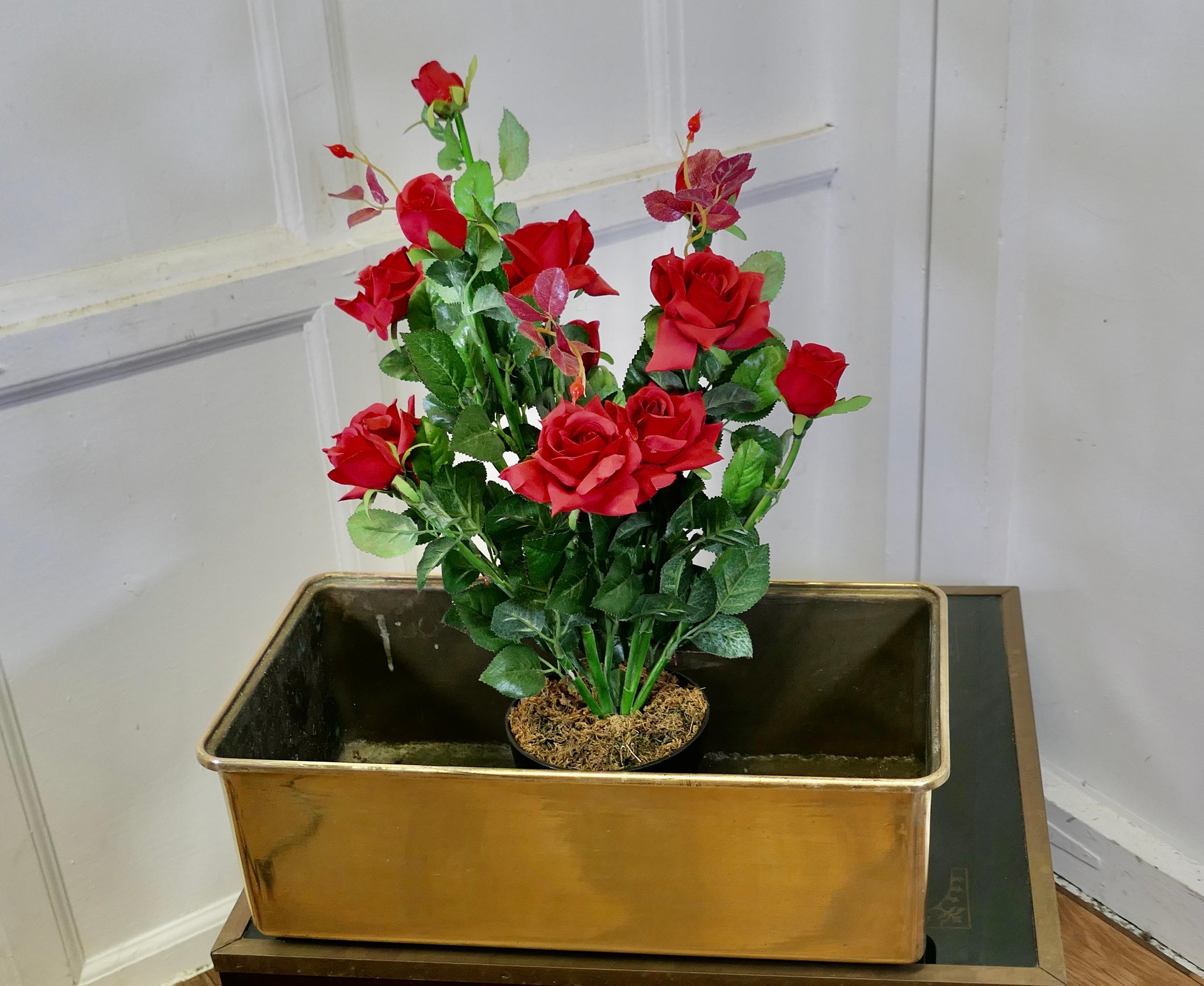 Heavy Quality Brass Planter

A lovely piece made in cast Brass with a rolled top rim
The Planter is 8” tall and 21” long and 11” wide
TFB54