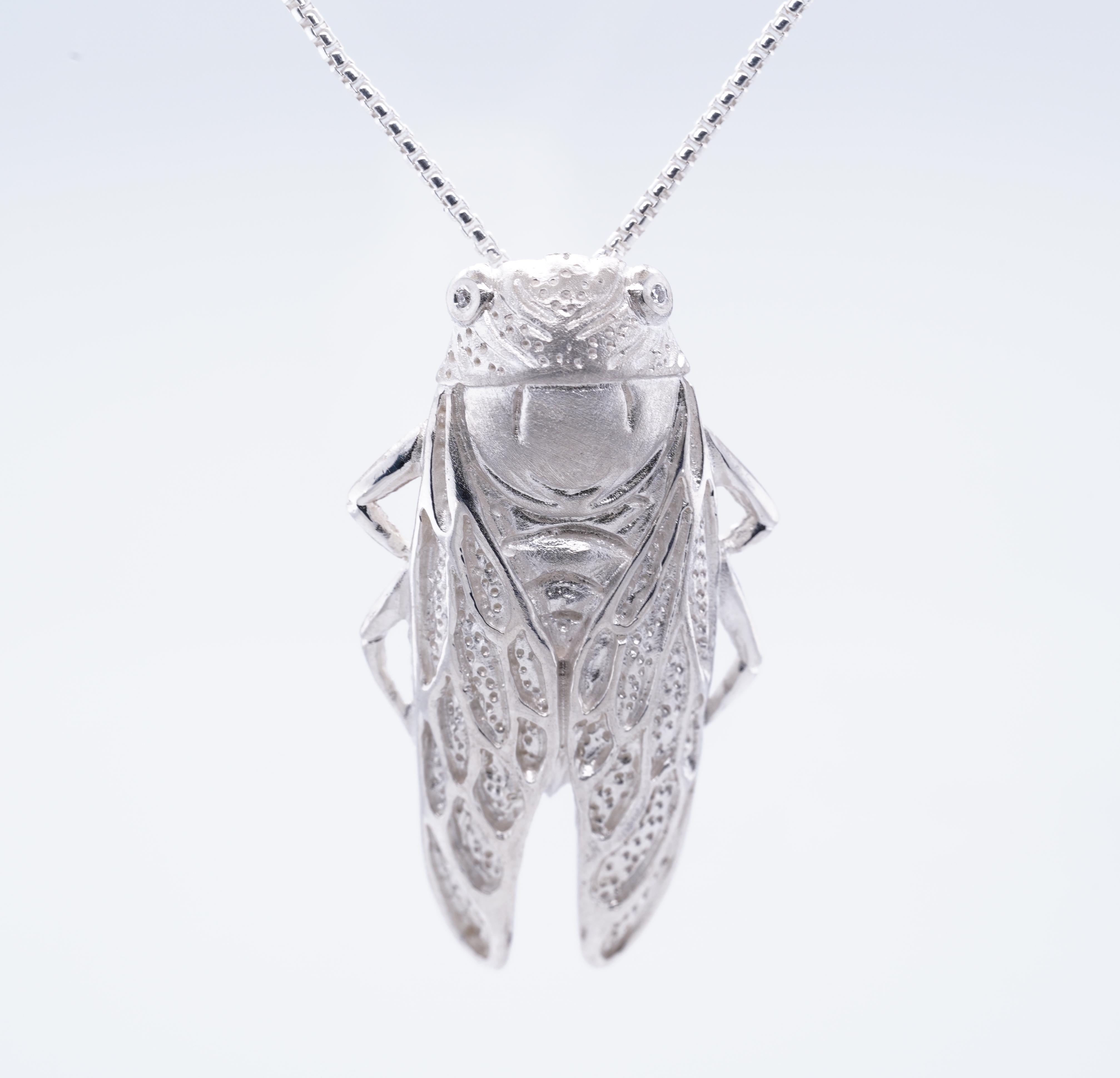 silver cicada