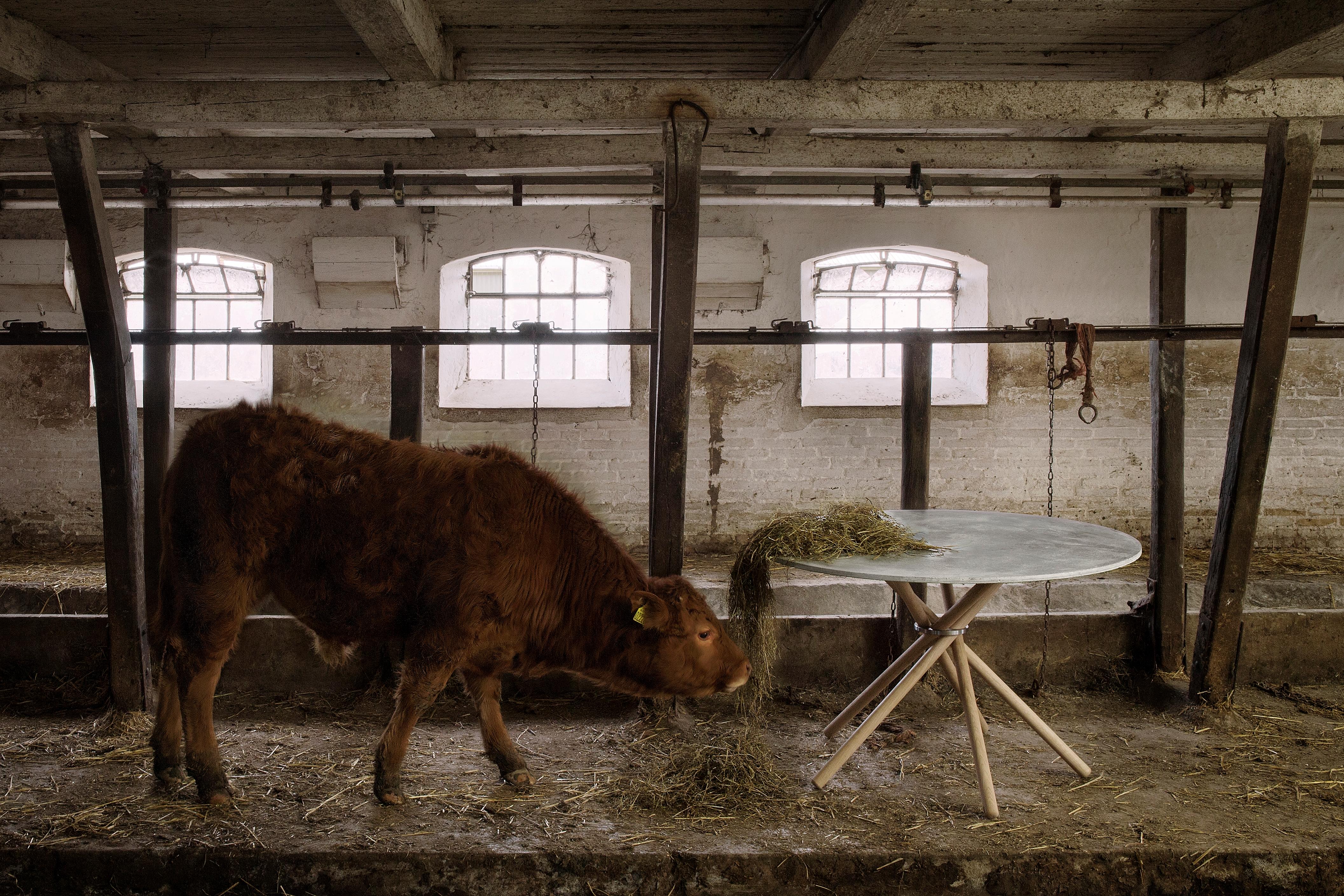 Mesa de comedor Hector con tablero de hormigón y patas de roble claro 120 by Eberhart Furniture en venta 4