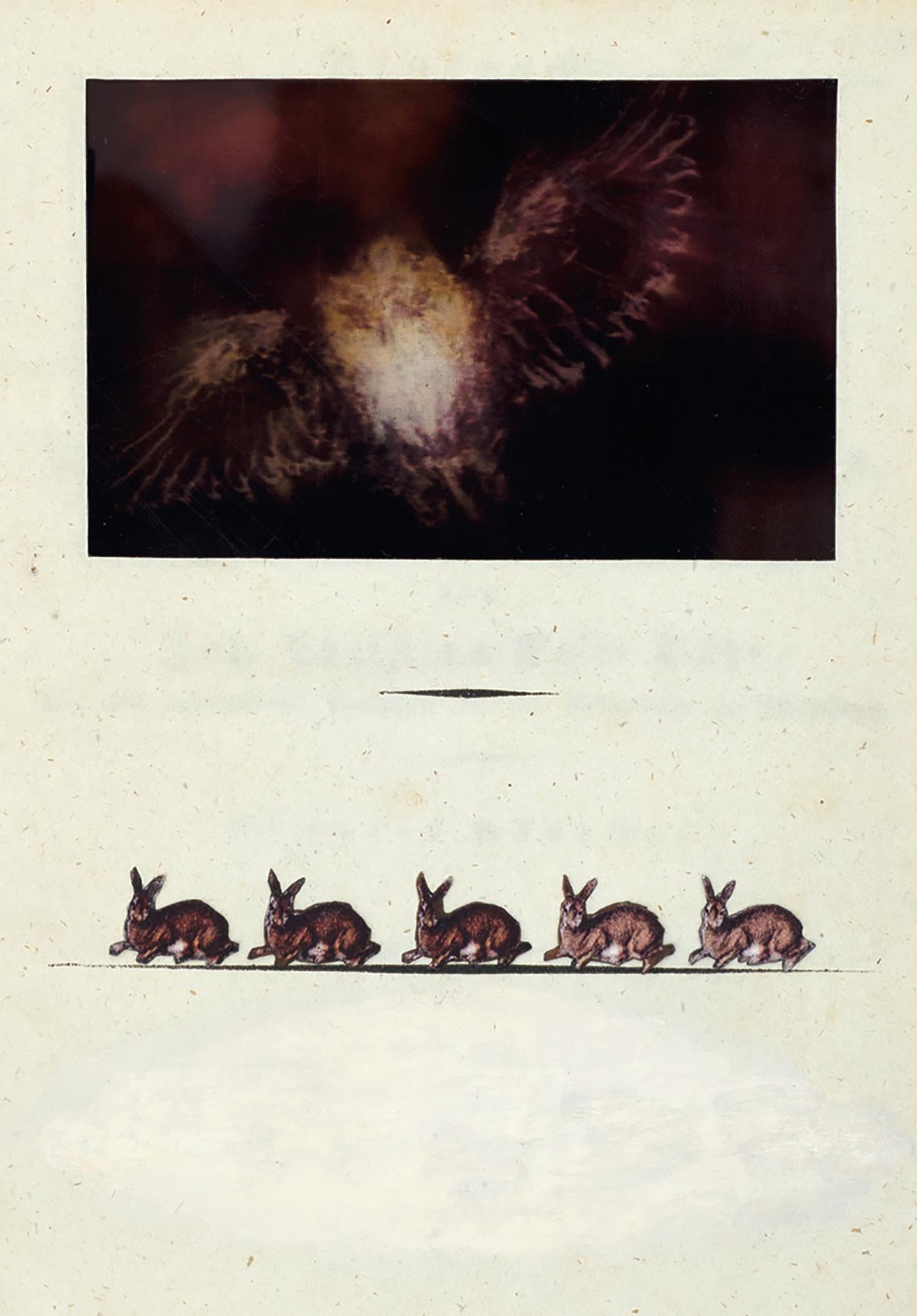 Assemblage in century old excavated book: 'Devourer of Souls'